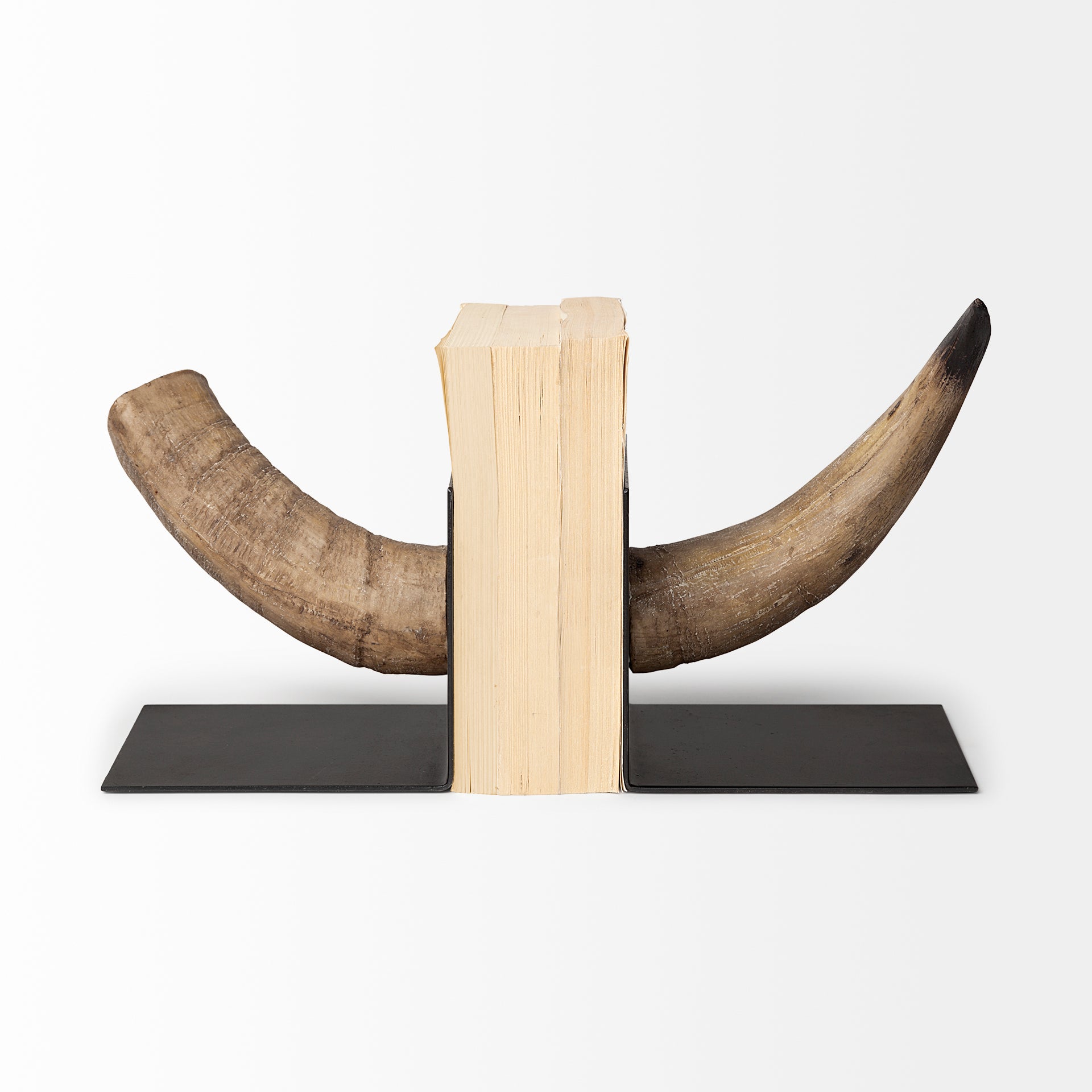 Nickerson Bull Horn Bookends - Set of 2