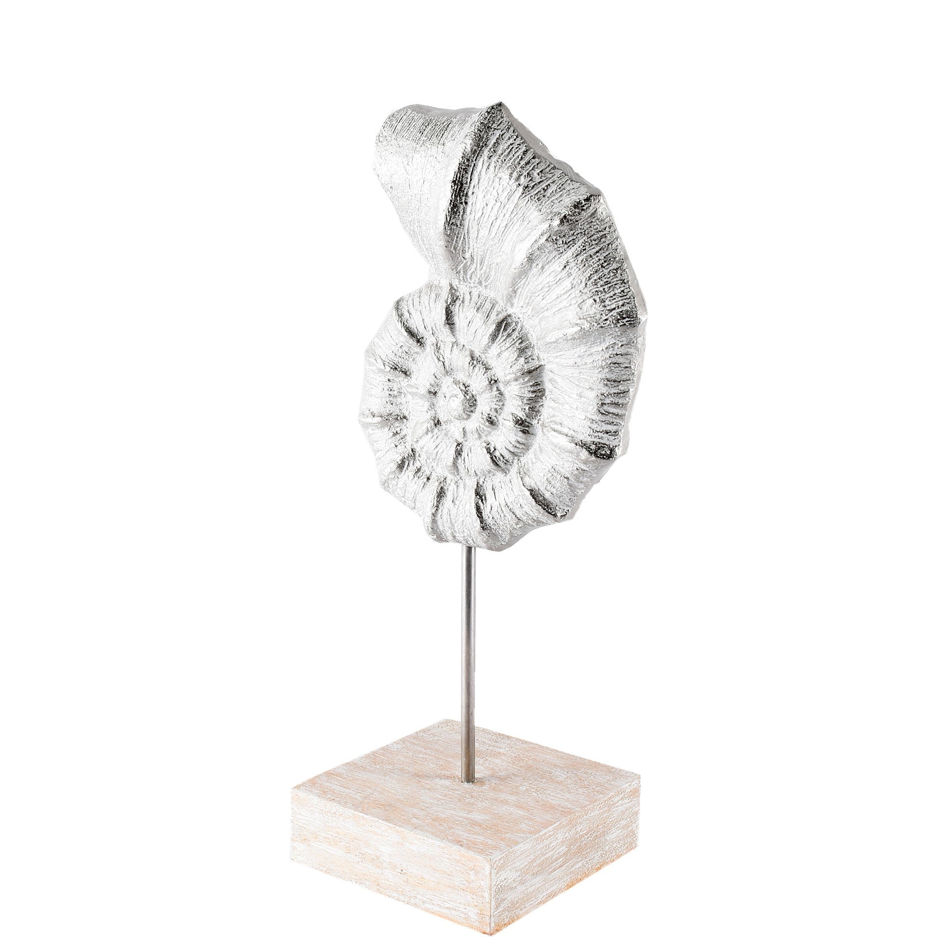 Cockle White Coastal Iron Sea Shell Object Decorative Objects Mercana , Black Friday Sale Mercana Furniture Sale, Old Bones Co, Mid Century Furniture Sale, Four Hands Furniture, Black Friday Sale Cockle White Coastal Iron Sea Shell Object,Gus Sale, Perigold Cockle White Coastal Iron Sea Shell Object Decorative Objects Black Friday Sale , Perigold Sale Cockle White Coastal Iron Sea Shell Object,Cockle White Coastal Iron Sea Shell Object Lulu and Georgia, Burke Decor Sale Cockle White Coastal Iron Sea Shell O