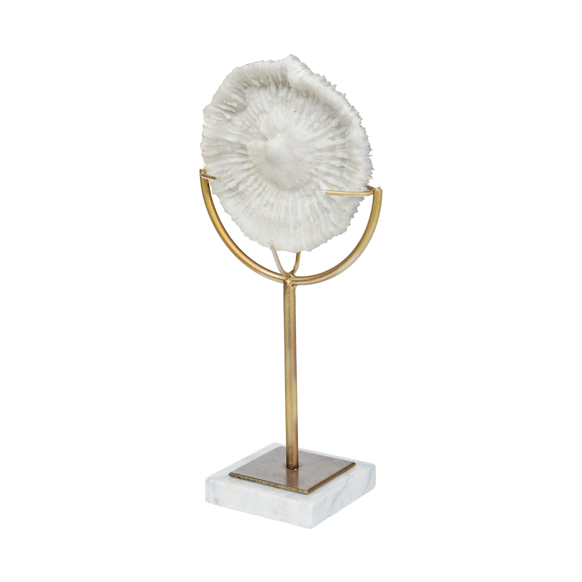 Sandy White Coastal Sand Dollar Object Decorative Objects Mercana , Black Friday Sale Mercana Furniture Sale, Old Bones Co, Mid Century Furniture Sale, Four Hands Furniture, Black Friday Sale Sandy White Coastal Sand Dollar Object,Gus Sale, Perigold Sandy White Coastal Sand Dollar Object Decorative Objects Black Friday Sale , Perigold Sale Sandy White Coastal Sand Dollar Object,Sandy White Coastal Sand Dollar Object Lulu and Georgia, Burke Decor Sale Sandy White Coastal Sand Dollar Object, www.oldbonesco.co