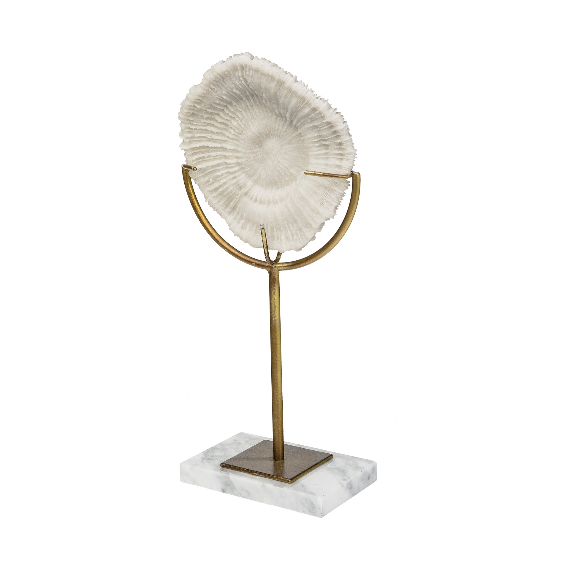 Sandy I White Coastal Sand Dollar Object