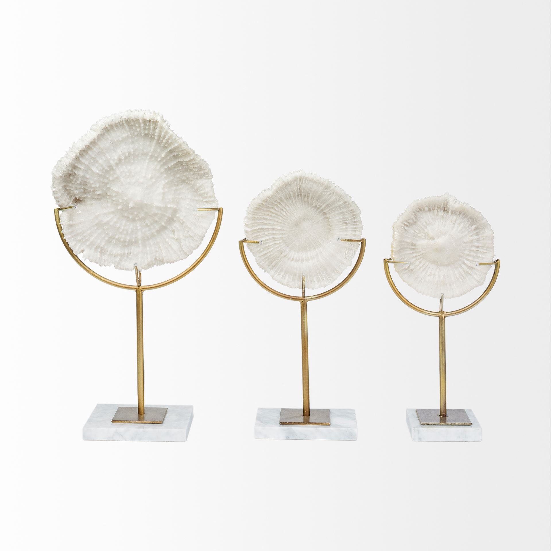 Sandy I White Coastal Sand Dollar Object