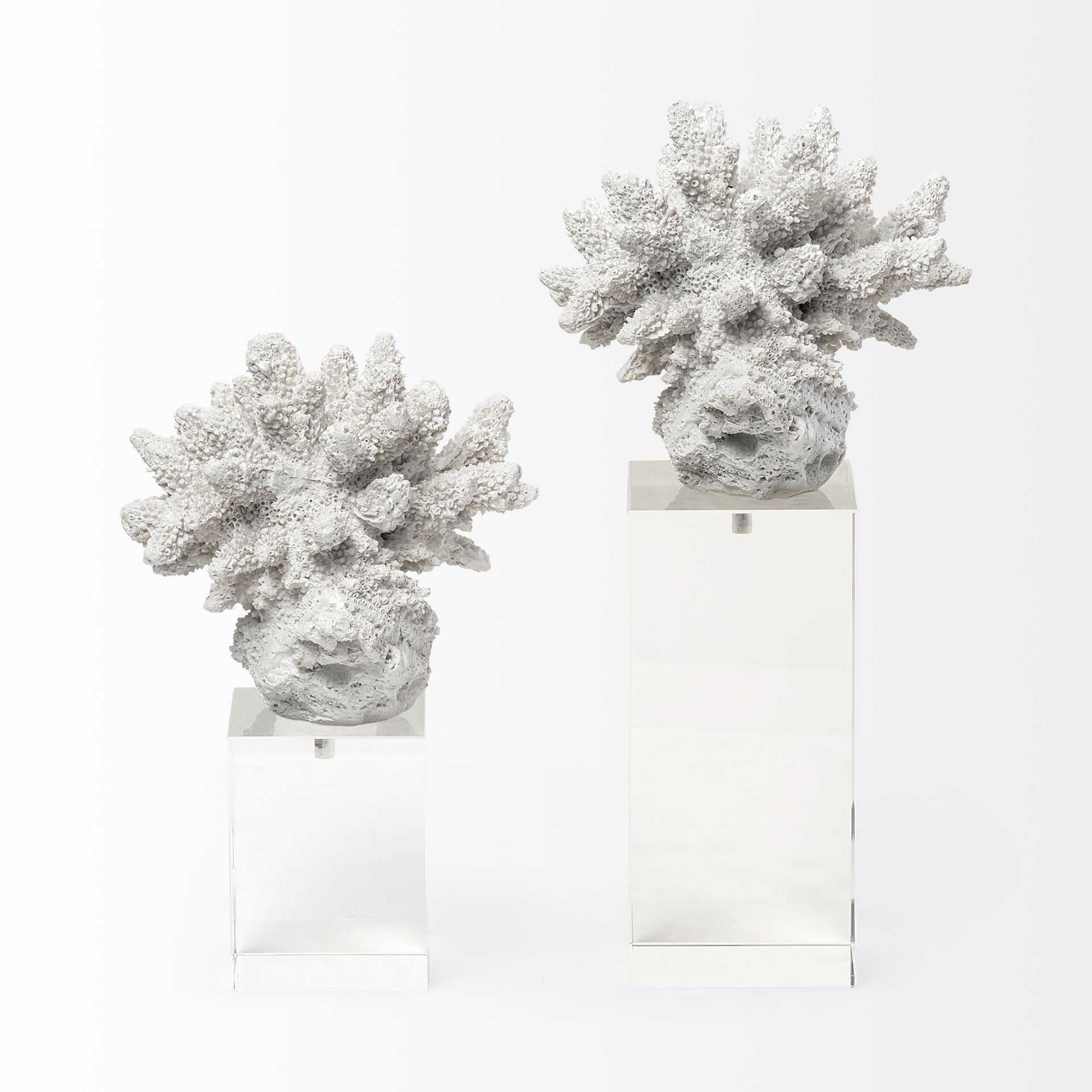 Isla Large White Replica Resin Coral On Clear White Glass