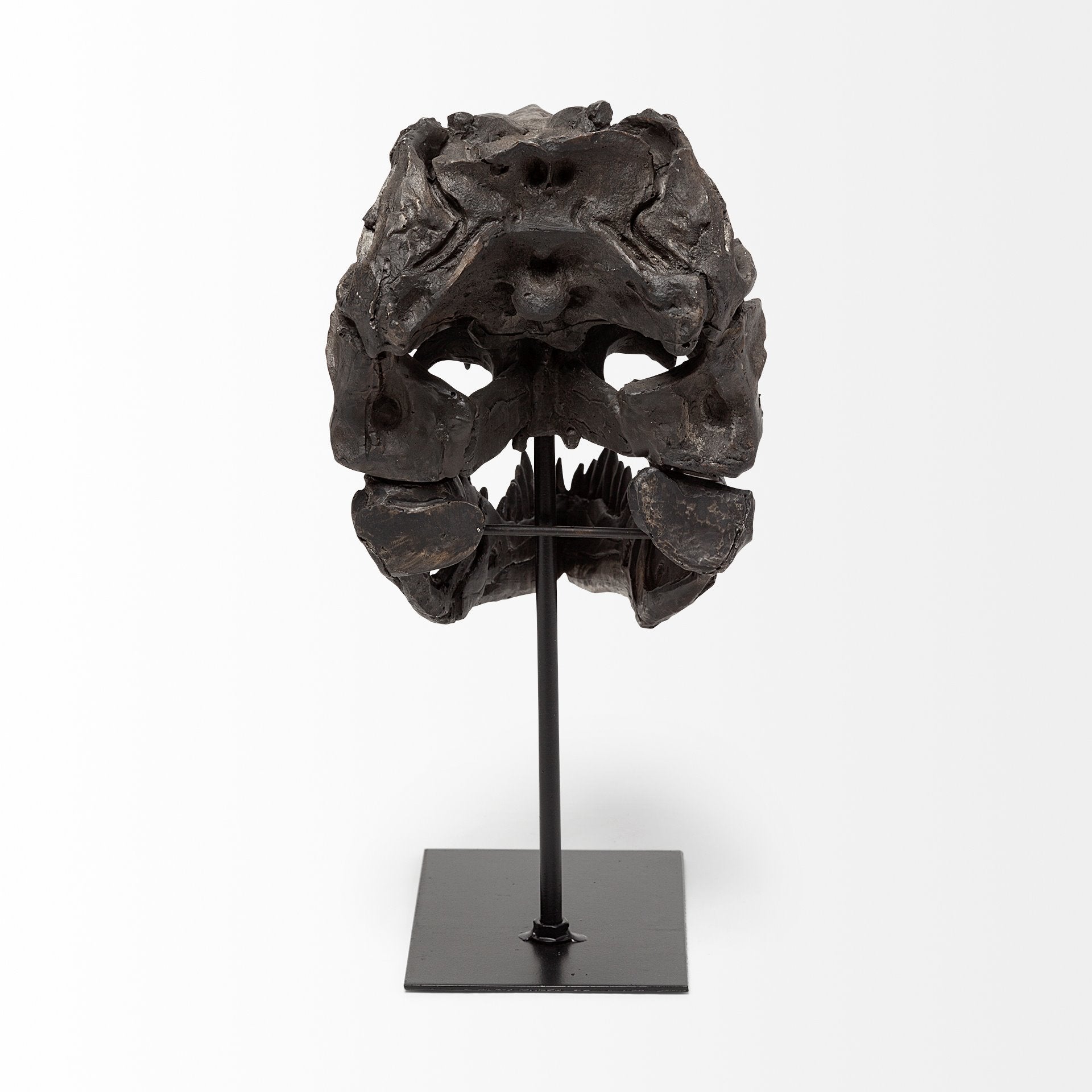 Jurassic Brown Resin Tyrannosaurus Skull Replica Object Decorative Objects Mercana , Black Friday Sale Mercana Furniture Sale, Old Bones Co, Mid Century Furniture Sale, Four Hands Furniture, Black Friday Sale Jurassic Brown Resin Tyrannosaurus Skull Replica Object,Gus Sale, Perigold Jurassic Brown Resin Tyrannosaurus Skull Replica Object Decorative Objects Black Friday Sale , Perigold Sale Jurassic Brown Resin Tyrannosaurus Skull Replica Object,Jurassic Brown Resin Tyrannosaurus Skull Replica Object Lulu an