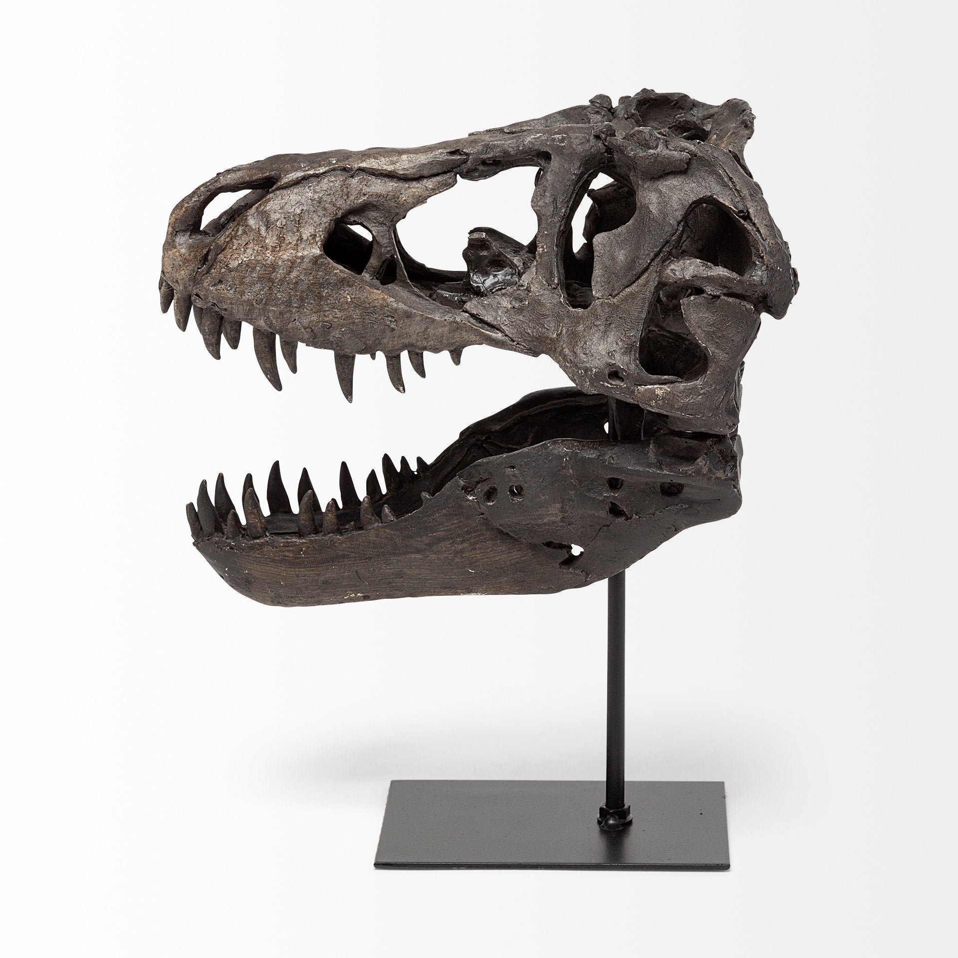 Jurassic Brown Resin Tyrannosaurus Skull Replica Object Decorative Objects Mercana , Black Friday Sale Mercana Furniture Sale, Old Bones Co, Mid Century Furniture Sale, Four Hands Furniture, Black Friday Sale Jurassic Brown Resin Tyrannosaurus Skull Replica Object,Gus Sale, Perigold Jurassic Brown Resin Tyrannosaurus Skull Replica Object Decorative Objects Black Friday Sale , Perigold Sale Jurassic Brown Resin Tyrannosaurus Skull Replica Object,Jurassic Brown Resin Tyrannosaurus Skull Replica Object Lulu an