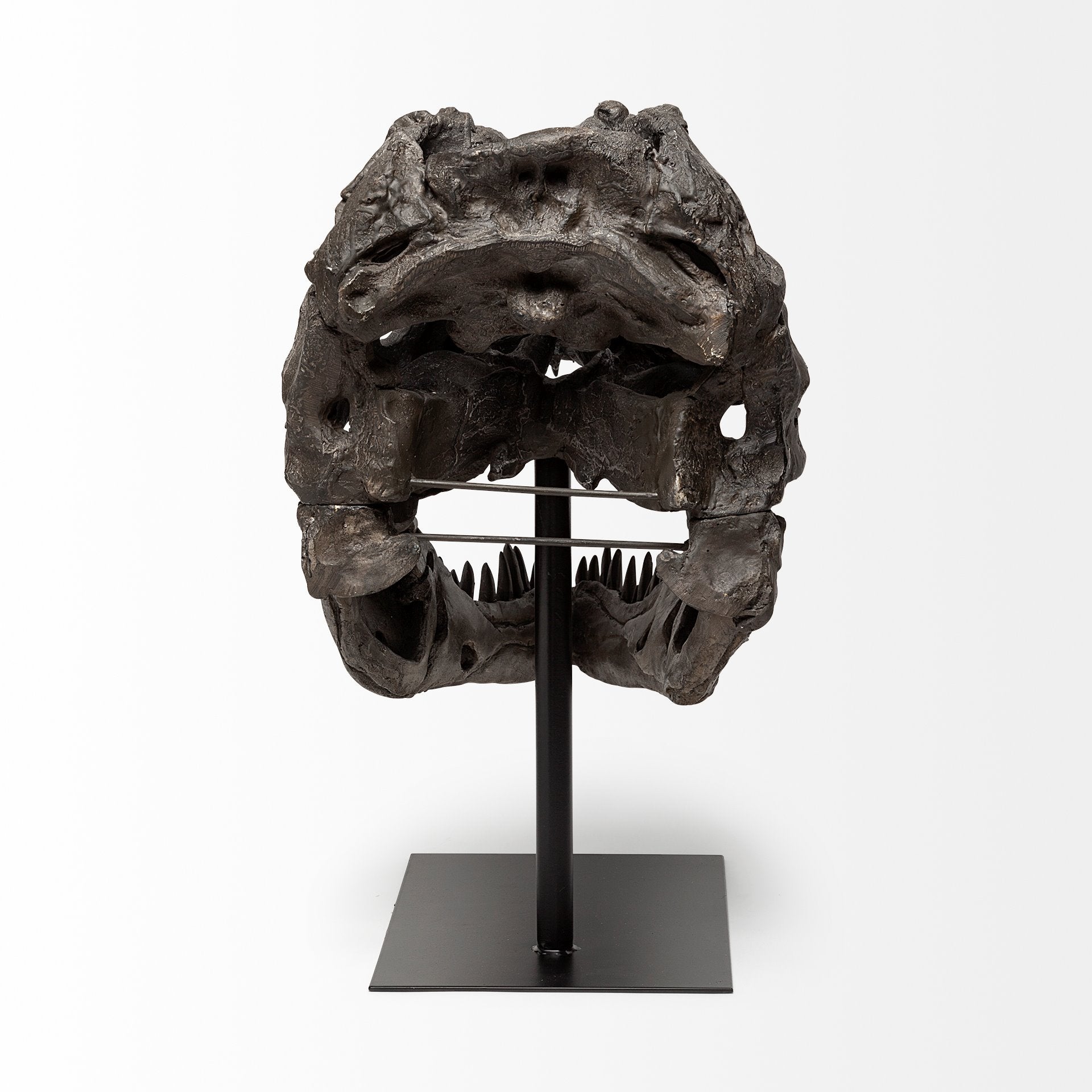 Lagrane Brown Resin Tyrannosaurus T Rex Dinosaur Skull Replica Object Decorative Objects Mercana , Black Friday Sale Mercana Furniture Sale, Old Bones Co, Mid Century Furniture Sale, Four Hands Furniture, Black Friday Sale Lagrane Brown Resin Tyrannosaurus T Rex Dinosaur Skull Replica Object,Gus Sale, Perigold Lagrane Brown Resin Tyrannosaurus T Rex Dinosaur Skull Replica Object Decorative Objects Black Friday Sale , Perigold Sale Lagrane Brown Resin Tyrannosaurus T Rex Dinosaur Skull Replica Object,Lagrane