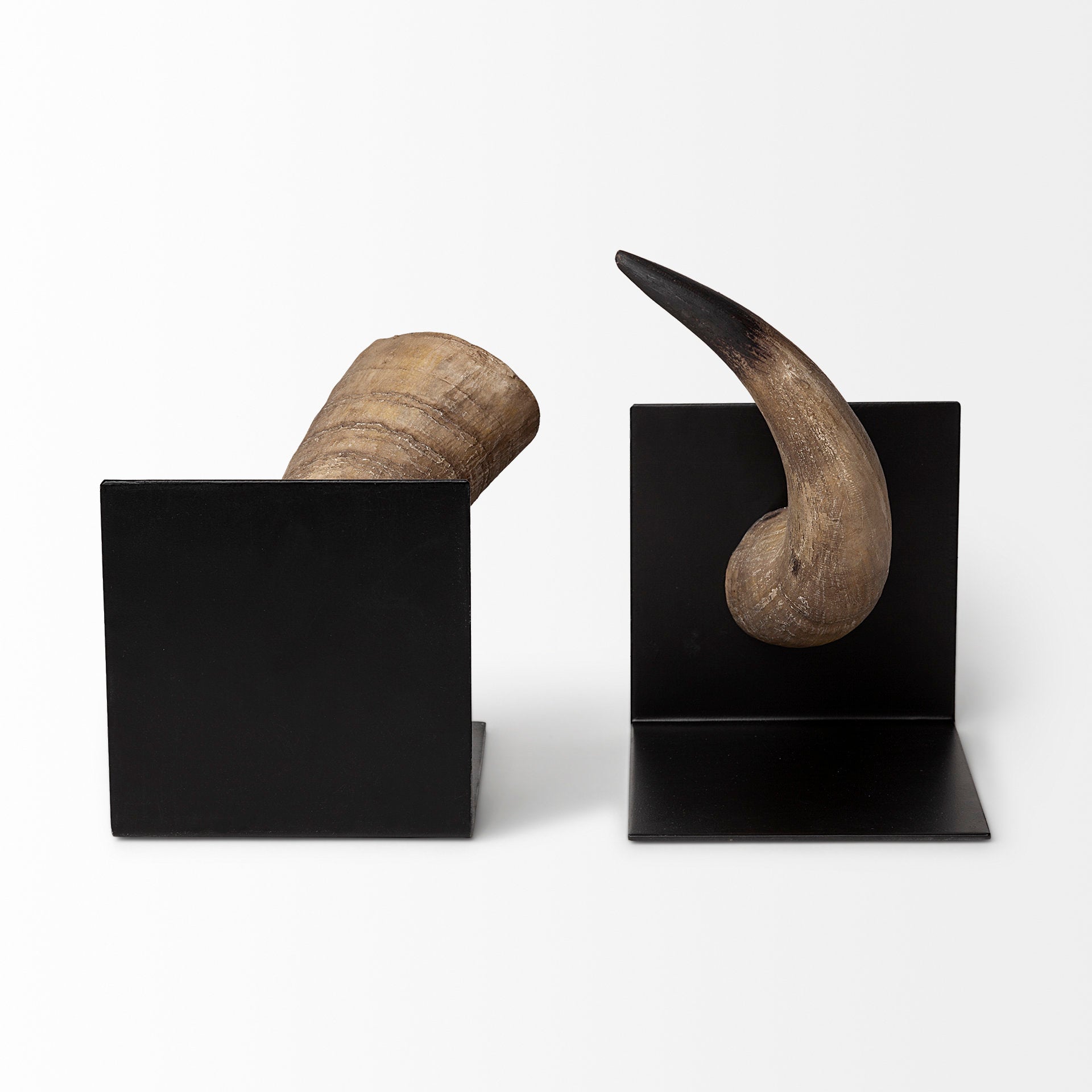 Nickerson Bull Horn Bookends - Set of 2