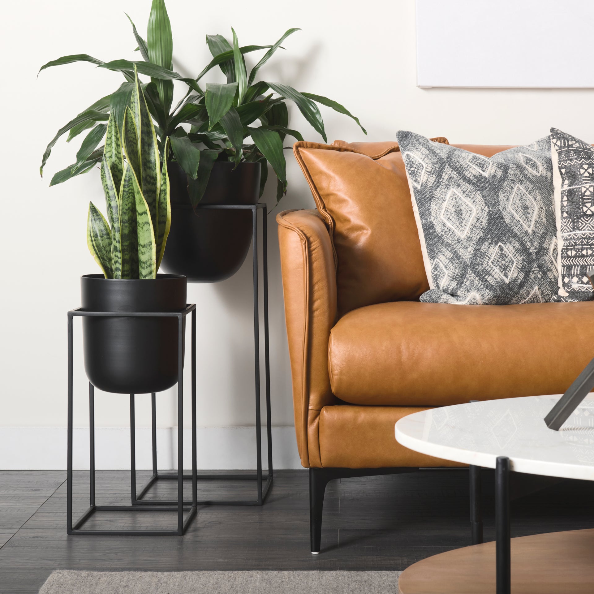 Bumble Black Plant Stands - Set of 2 Planters Mercana , Black Friday Sale Mercana Furniture Sale, Old Bones Co, Mid Century Furniture Sale, Four Hands Furniture, Black Friday Sale Bumble Black Plant Stands - Set of 2,Gus Sale, Perigold Bumble Black Plant Stands - Set of 2 Planters Black Friday Sale , Perigold Sale Bumble Black Plant Stands - Set of 2,Bumble Black Plant Stands - Set of 2 Lulu and Georgia, Burke Decor Sale Bumble Black Plant Stands - Set of 2, www.oldbonesco.com