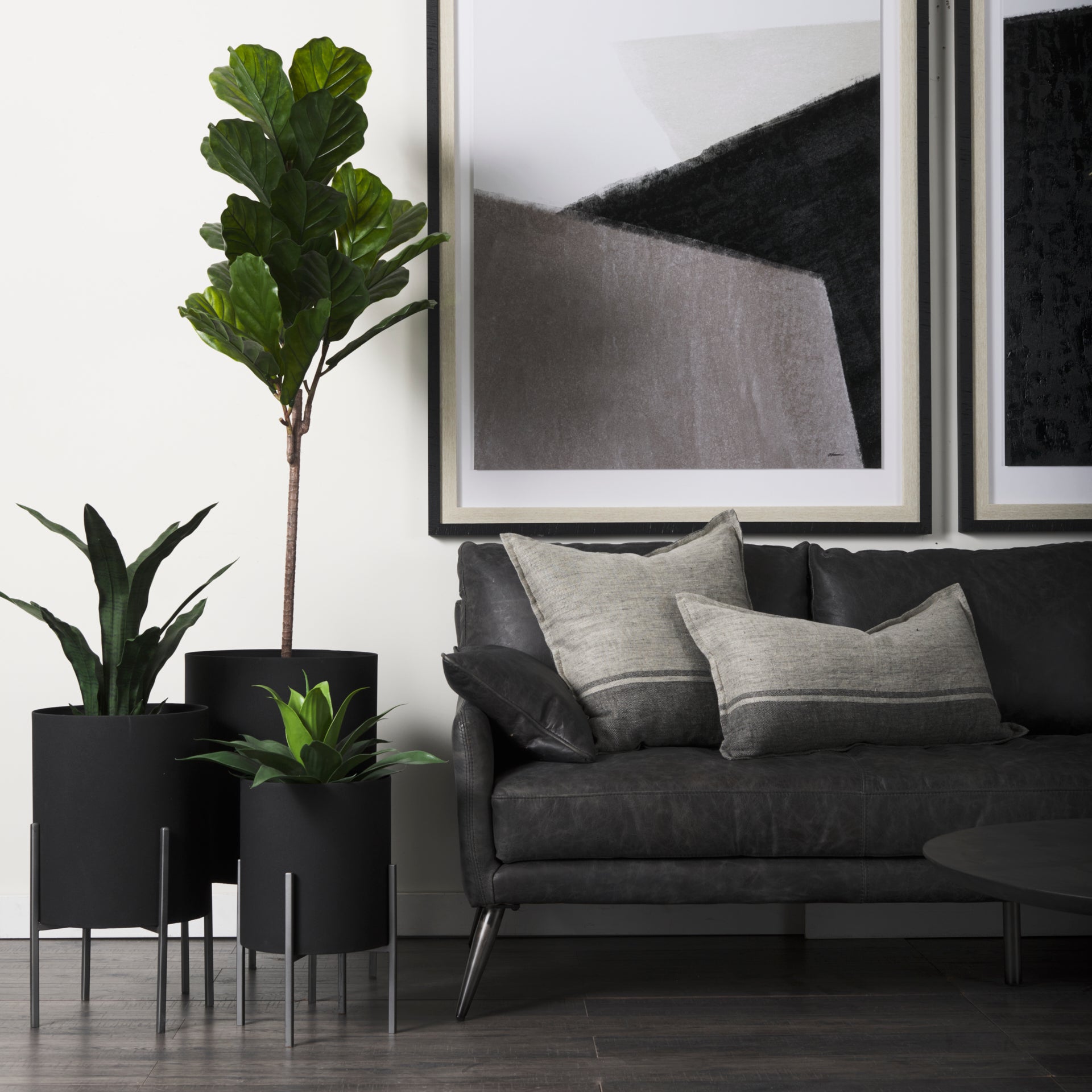 Claypoole Black Plant Stands - Set of 3 Planters Mercana , Black Friday Sale Mercana Furniture Sale, Old Bones Co, Mid Century Furniture Sale, Four Hands Furniture, Black Friday Sale Claypoole Black Plant Stands - Set of 3,Gus Sale, Perigold Claypoole Black Plant Stands - Set of 3 Planters Black Friday Sale , Perigold Sale Claypoole Black Plant Stands - Set of 3,Claypoole Black Plant Stands - Set of 3 Lulu and Georgia, Burke Decor Sale Claypoole Black Plant Stands - Set of 3, www.oldbonesco.com