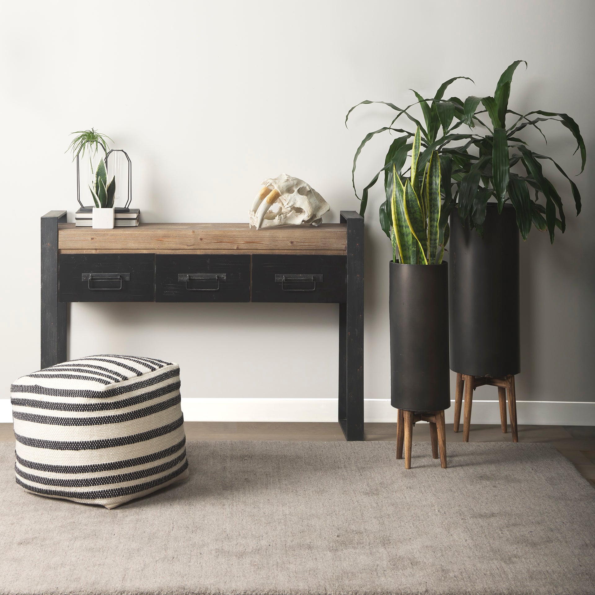 Fozzil Resin Sabretooth Skull Replica Object Decorative Objects Mercana , Black Friday Sale Mercana Furniture Sale, Old Bones Co, Mid Century Furniture Sale, Four Hands Furniture, Black Friday Sale Fozzil Resin Sabretooth Skull Replica Object,Gus Sale, Perigold Fozzil Resin Sabretooth Skull Replica Object Decorative Objects Black Friday Sale , Perigold Sale Fozzil Resin Sabretooth Skull Replica Object,Fozzil Resin Sabretooth Skull Replica Object Lulu and Georgia, Burke Decor Sale Fozzil Resin Sabretooth Sku