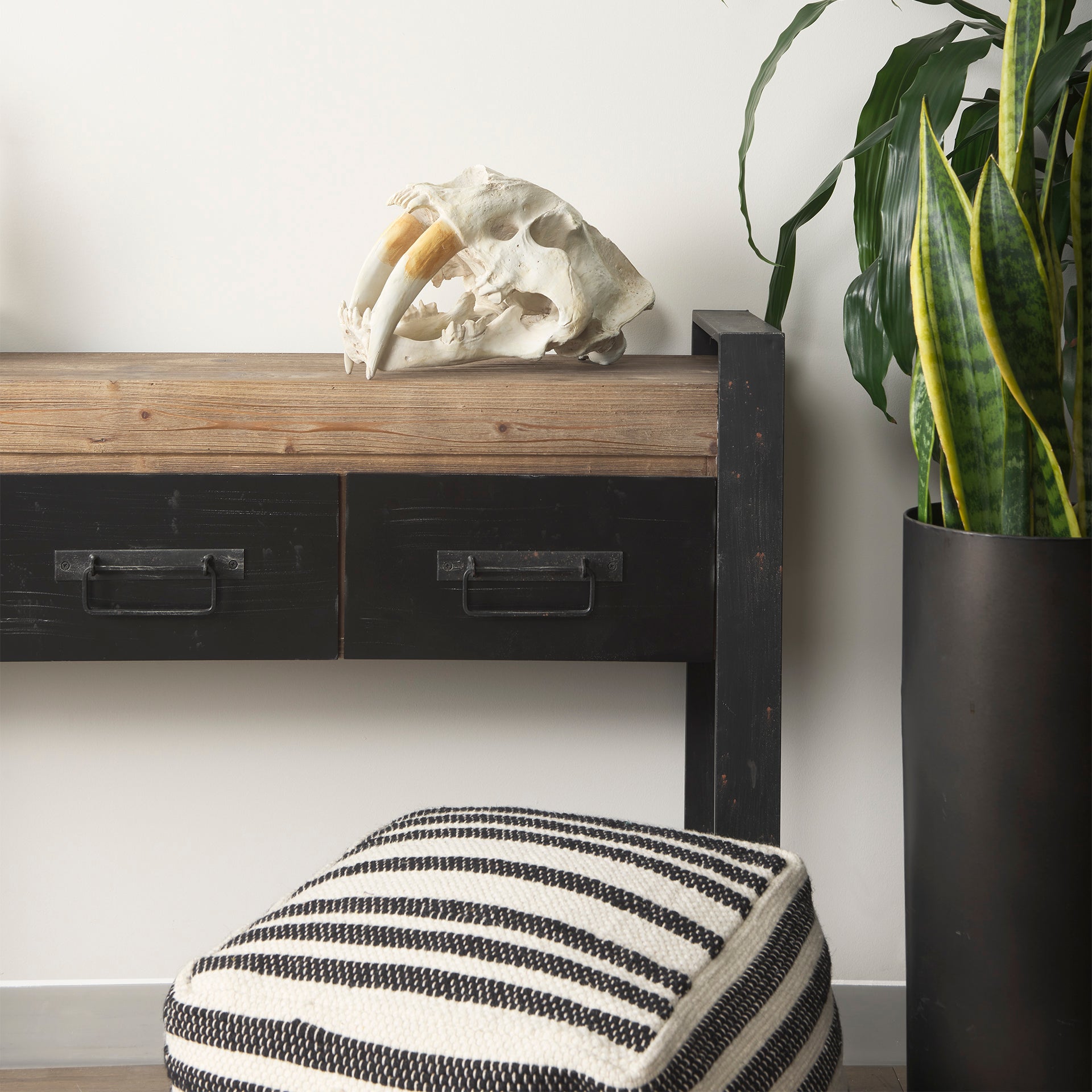 Fozzil Resin Sabretooth Skull Replica Object Decorative Objects Mercana , Black Friday Sale Mercana Furniture Sale, Old Bones Co, Mid Century Furniture Sale, Four Hands Furniture, Black Friday Sale Fozzil Resin Sabretooth Skull Replica Object,Gus Sale, Perigold Fozzil Resin Sabretooth Skull Replica Object Decorative Objects Black Friday Sale , Perigold Sale Fozzil Resin Sabretooth Skull Replica Object,Fozzil Resin Sabretooth Skull Replica Object Lulu and Georgia, Burke Decor Sale Fozzil Resin Sabretooth Sku