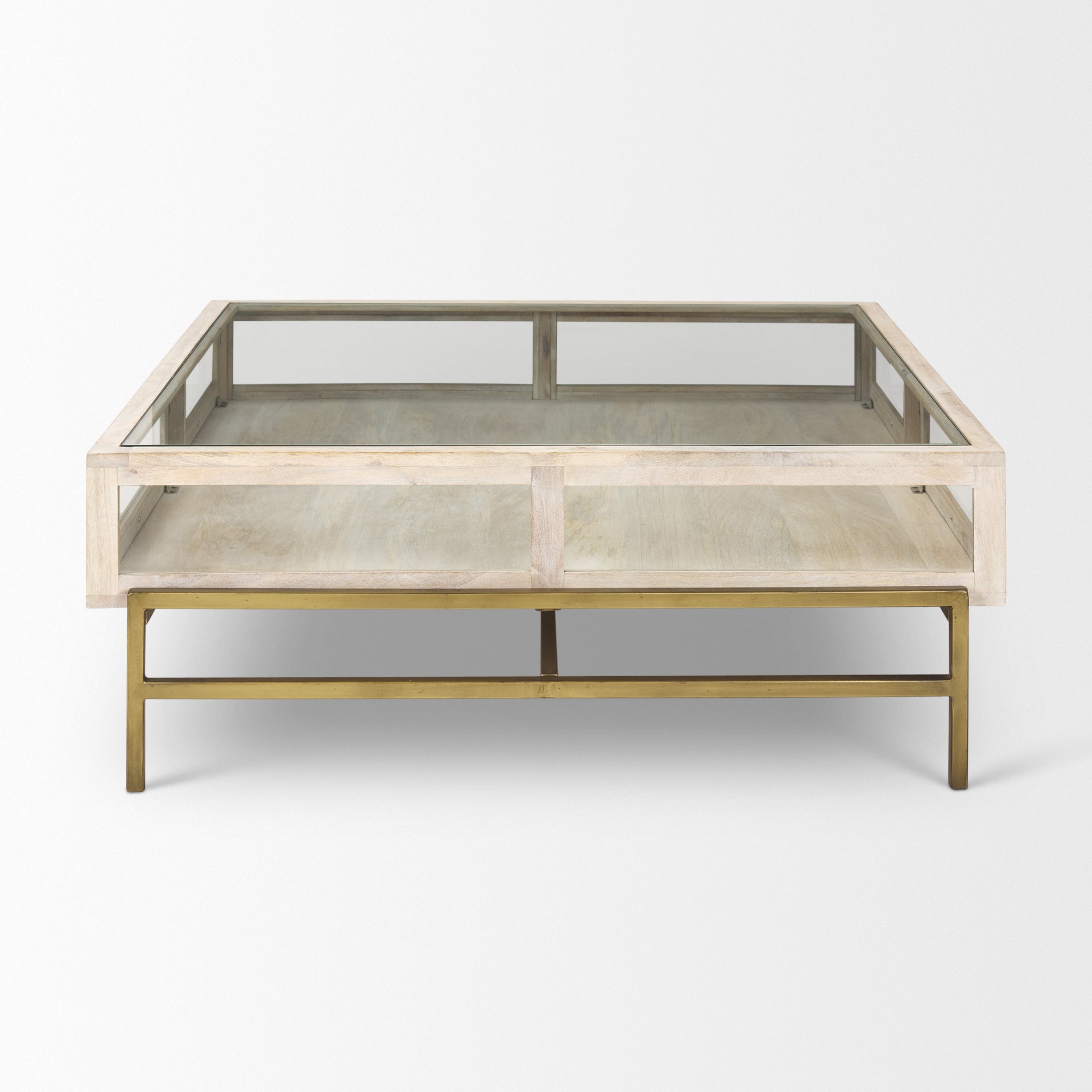 Arelius 42" Square Glass-Top with Metal Base Display Coffee Table