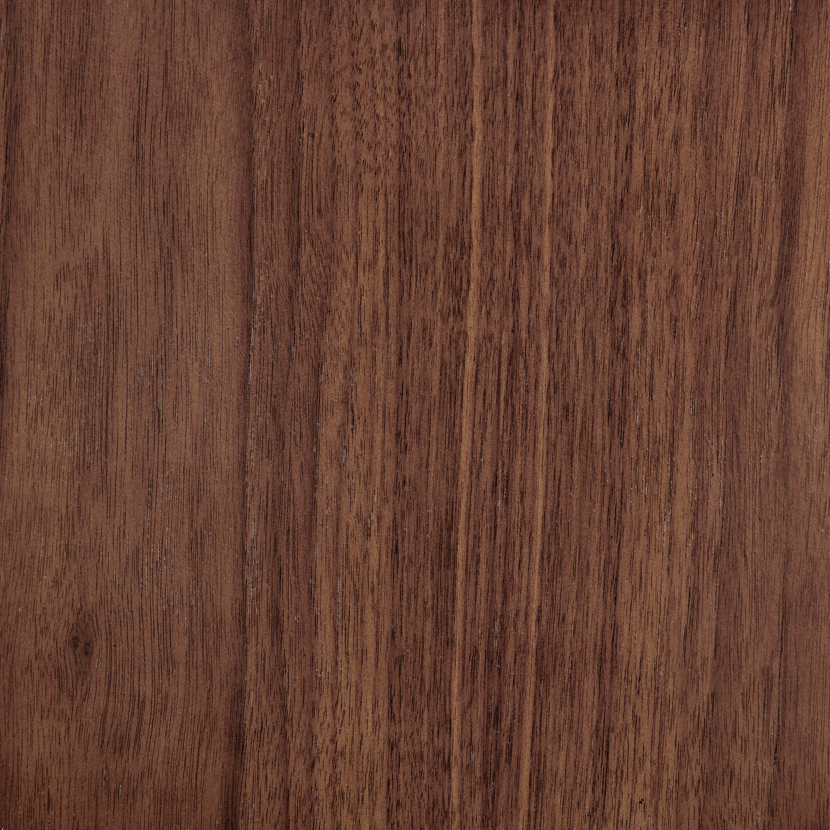 Tendy Bar Stool - Set of 4 Bar & Counter Stools Euro Style , Black Friday Sale Euro Style Furniture Sale, Old Bones Co, Mid Century Furniture Sale, Four Hands Furniture, Black Friday Sale Tendy Bar Stool - Set of 4,Gus Sale, Perigold Tendy Bar Stool - Set of 4 Bar & Counter Stools Black Friday Sale , Perigold Sale Tendy Bar Stool - Set of 4,Tendy Bar Stool - Set of 4 Lulu and Georgia, Burke Decor Sale Tendy Bar Stool - Set of 4, www.oldbonesco.com