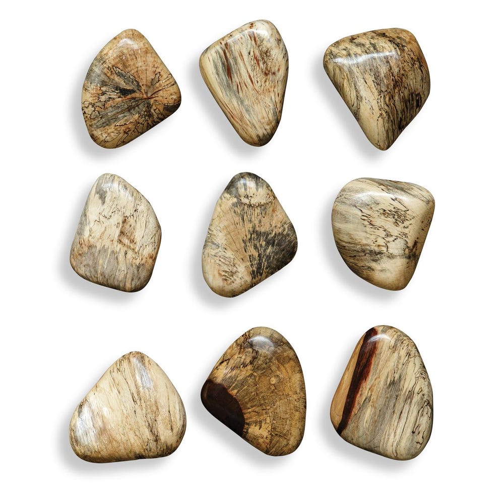 Uttermost Pebbles Wood Wall Decor - Set of 9