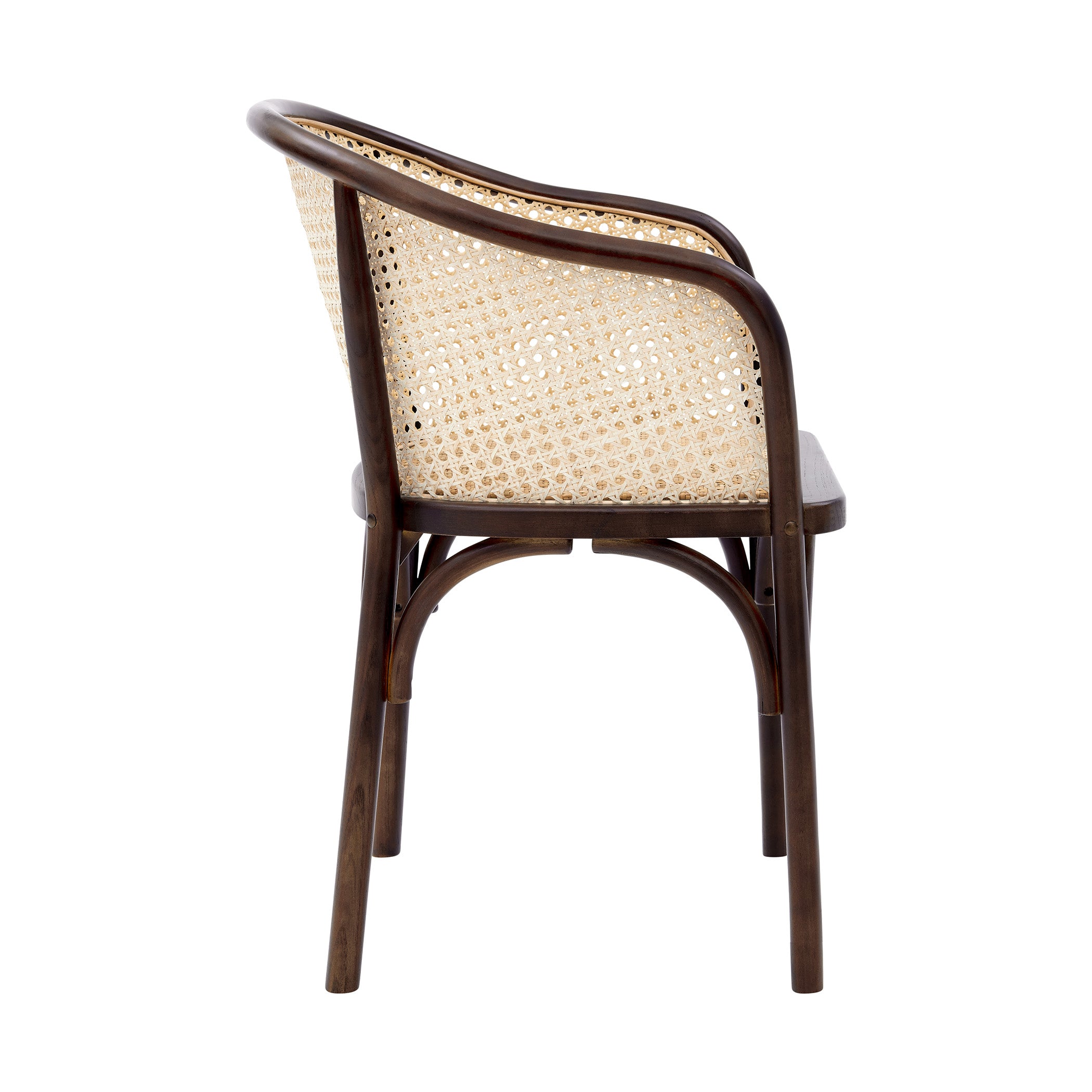 Elsy Dining Armchair Dining Chairs Euro Style , Black Friday Sale Euro Style Furniture Sale, Old Bones Co, Mid Century Furniture Sale, Four Hands Furniture, Black Friday Sale Elsy Dining Armchair,Gus Sale, Perigold Elsy Dining Armchair Dining Chairs Black Friday Sale , Perigold Sale Elsy Dining Armchair,Elsy Dining Armchair Lulu and Georgia, Burke Decor Sale Elsy Dining Armchair, www.oldbonesco.com