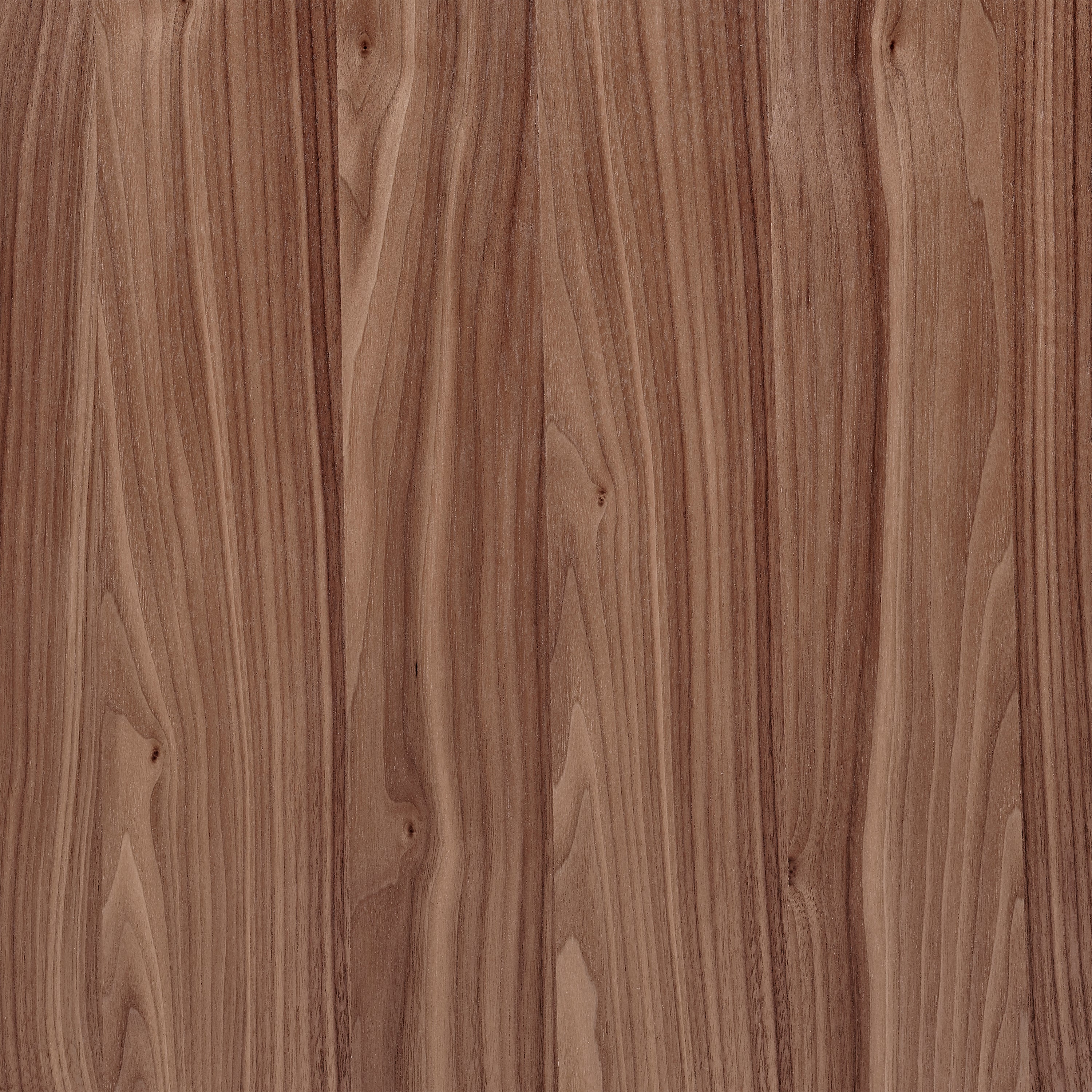 Abby 48" Coffee Table Coffee Tables Euro Style , Black Friday Sale Euro Style Furniture Sale, Old Bones Co, Mid Century Furniture Sale, Four Hands Furniture, Black Friday Sale Abby 48" Coffee Table,Gus Sale, Perigold Abby 48" Coffee Table Coffee Tables Black Friday Sale , Perigold Sale Abby 48" Coffee Table,Abby 48" Coffee Table Lulu and Georgia, Burke Decor Sale Abby 48" Coffee Table, www.oldbonesco.com