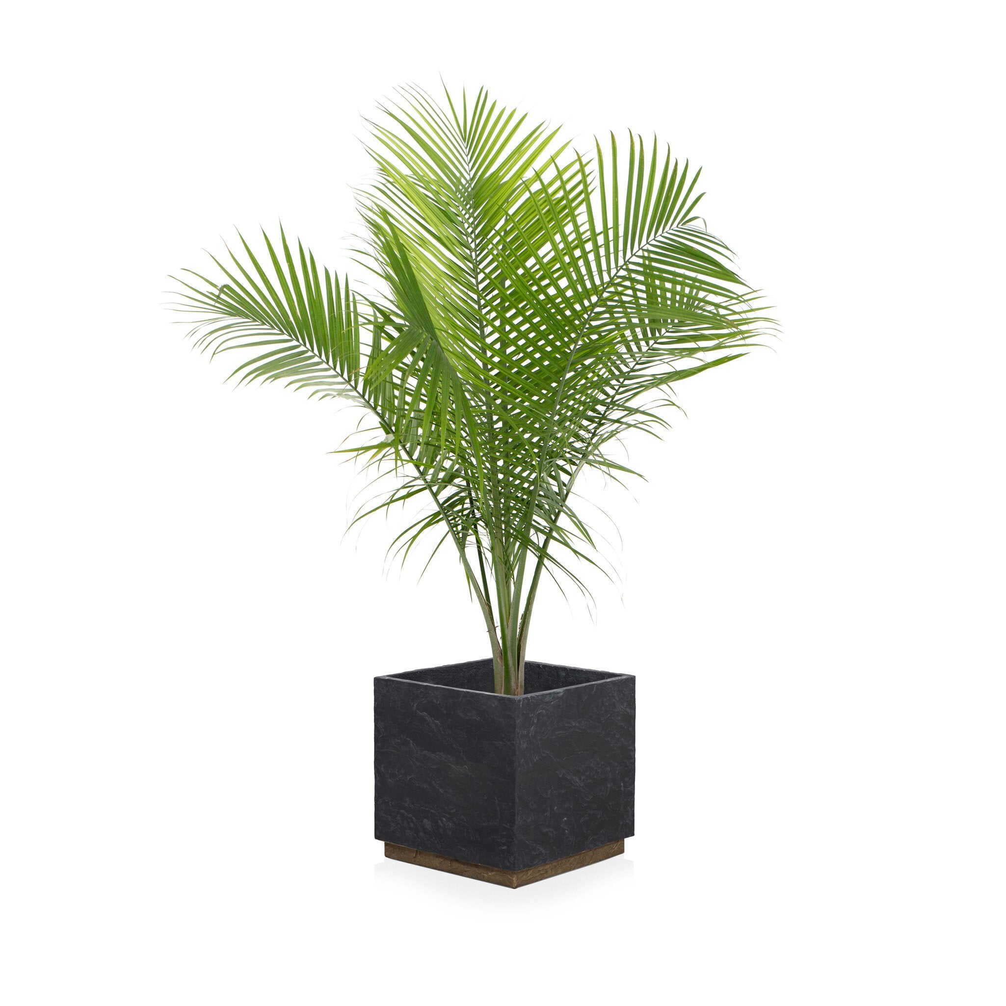 Ely Planter - Dark Slate