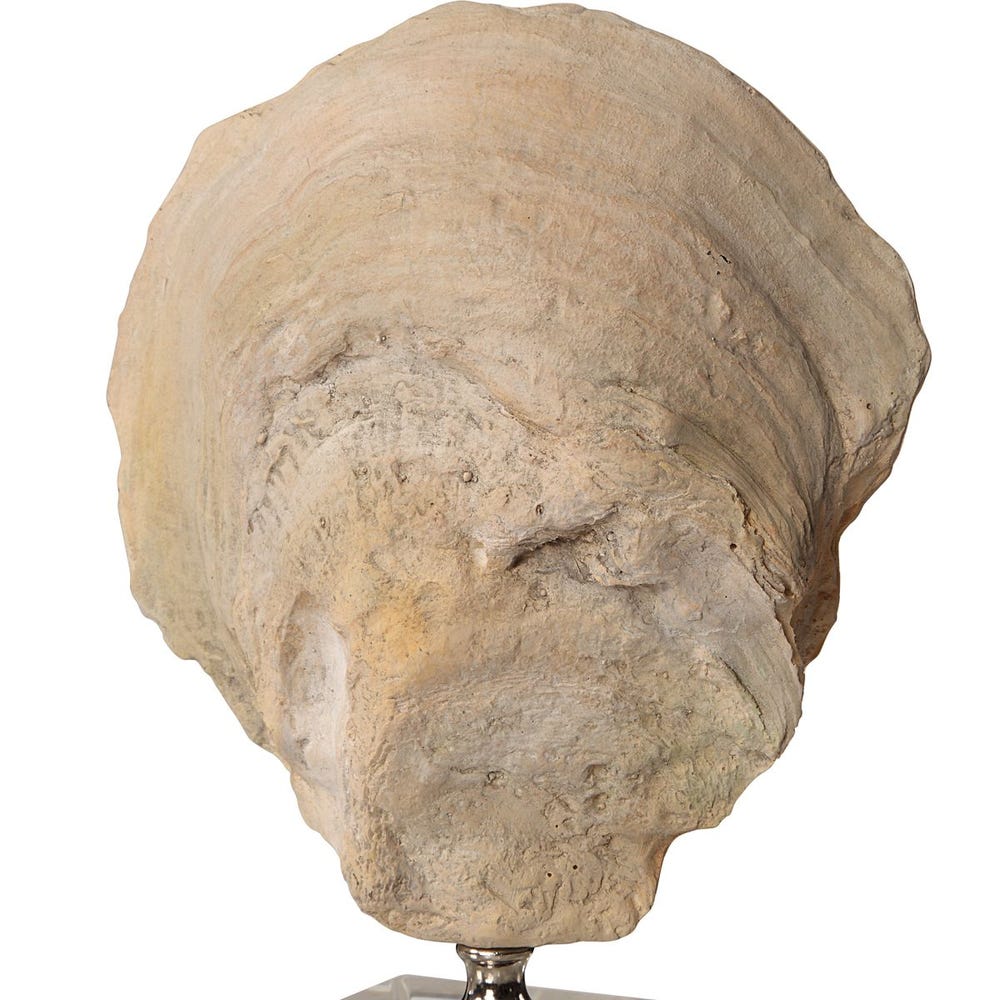 Uttermost Oyster Shell Sculptures - Set of 2