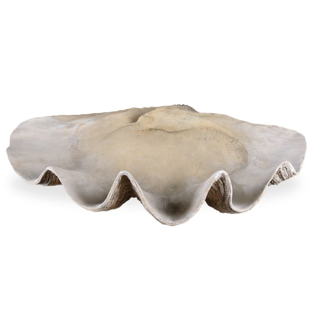 Uttermost Clam Shell Bowl