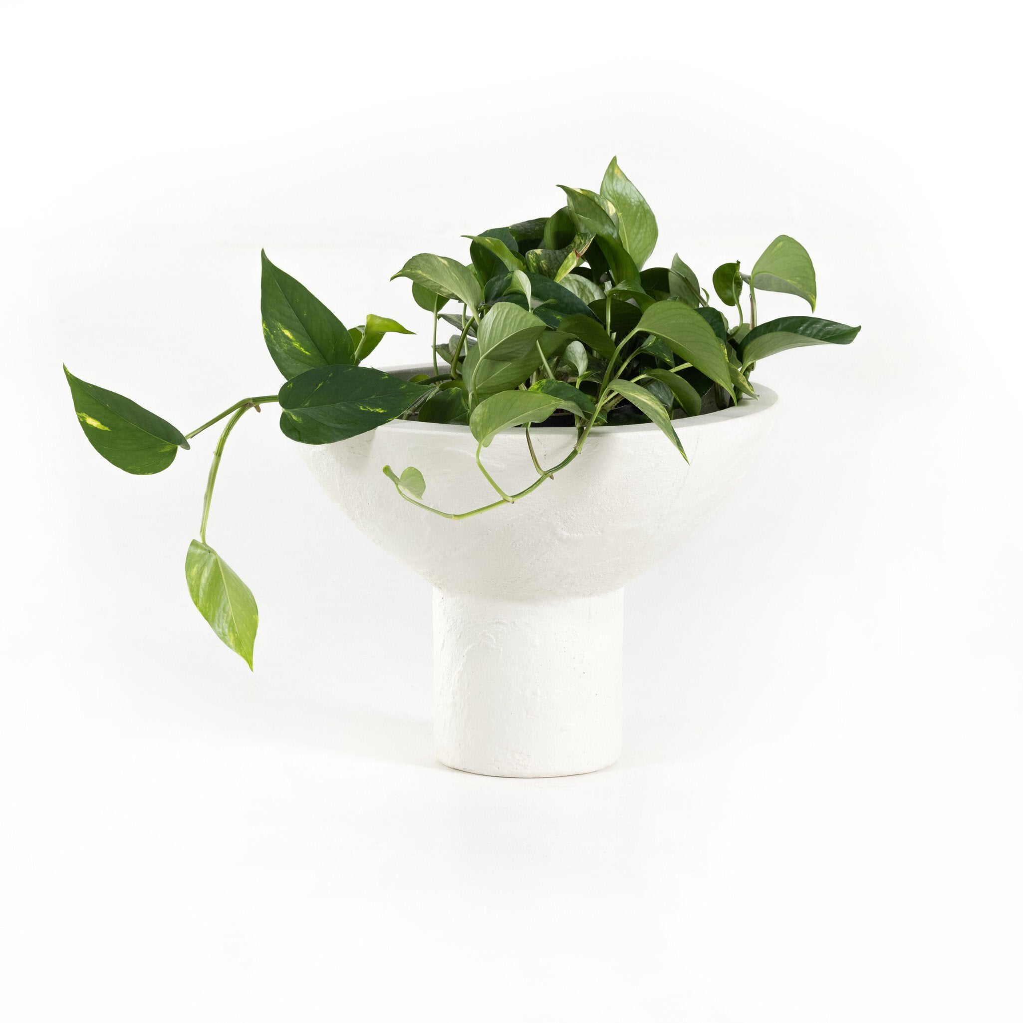 Pressler Outdoor Planter - Set Of 2