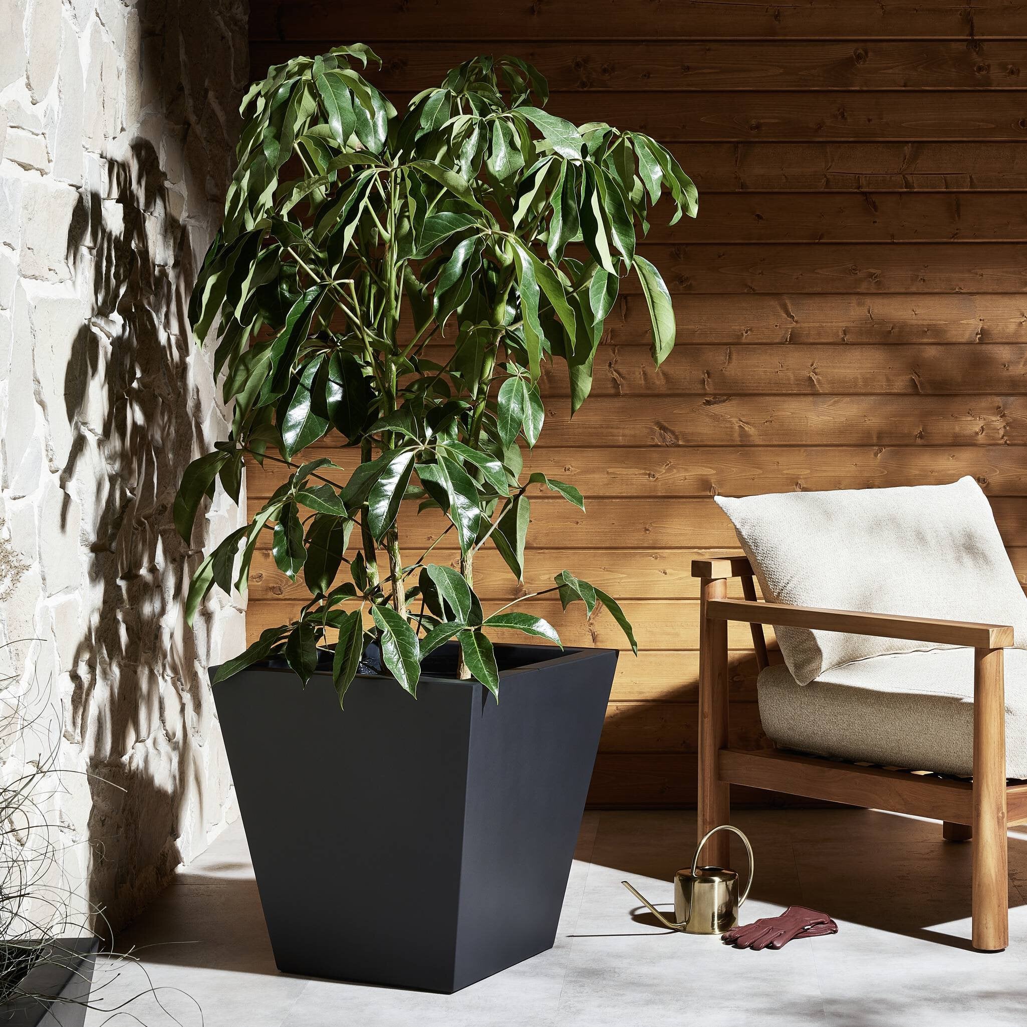 Koto Planter Planters Four Hands , Black Friday Sale Four Hands Furniture Sale, Old Bones Co, Mid Century Furniture Sale, Four Hands Furniture, Black Friday Sale Koto Planter,Gus Sale, Perigold Koto Planter Planters Black Friday Sale , Perigold Sale Koto Planter,Koto Planter Lulu and Georgia, Burke Decor Sale Koto Planter, www.oldbonesco.com