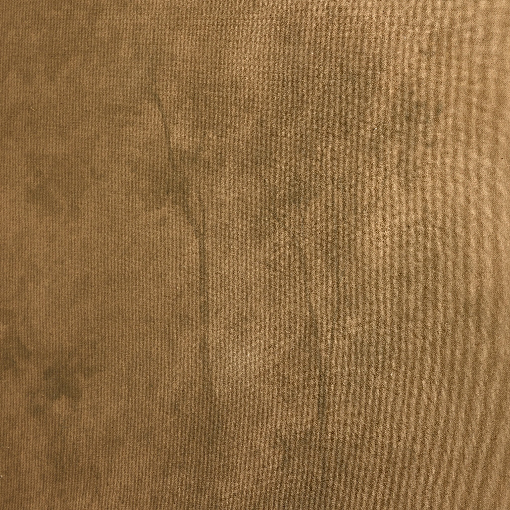 Illuminated by Aileen Fitzgerald Wall Art Four Hands , Black Friday Sale Four Hands Furniture Sale, Old Bones Co, Mid Century Furniture Sale, Four Hands Furniture, Black Friday Sale Illuminated by Aileen Fitzgerald,Gus Sale, Perigold Illuminated by Aileen Fitzgerald Wall Art Black Friday Sale , Perigold Sale Illuminated by Aileen Fitzgerald,Illuminated by Aileen Fitzgerald Lulu and Georgia, Burke Decor Sale Illuminated by Aileen Fitzgerald, www.oldbonesco.com