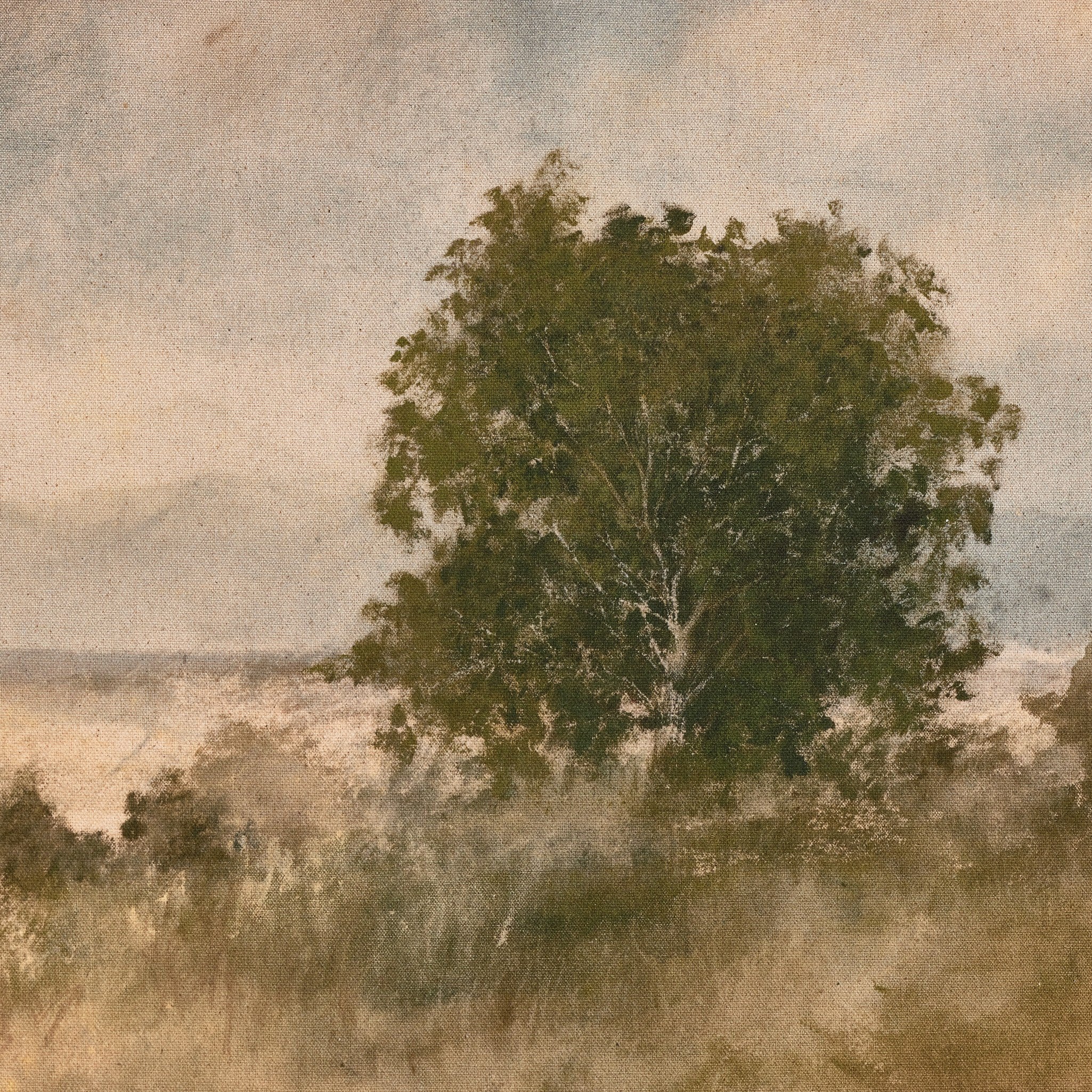 Blue Splendor by Aileen Fitzgerald - White Oak Wall Art Four Hands , Black Friday Sale Four Hands Furniture Sale, Old Bones Co, Mid Century Furniture Sale, Four Hands Furniture, Black Friday Sale Blue Splendor by Aileen Fitzgerald - White Oak,Gus Sale, Perigold Blue Splendor by Aileen Fitzgerald - White Oak Wall Art Black Friday Sale , Perigold Sale Blue Splendor by Aileen Fitzgerald - White Oak,Blue Splendor by Aileen Fitzgerald - White Oak Lulu and Georgia, Burke Decor Sale Blue Splendor by Aileen Fitzger