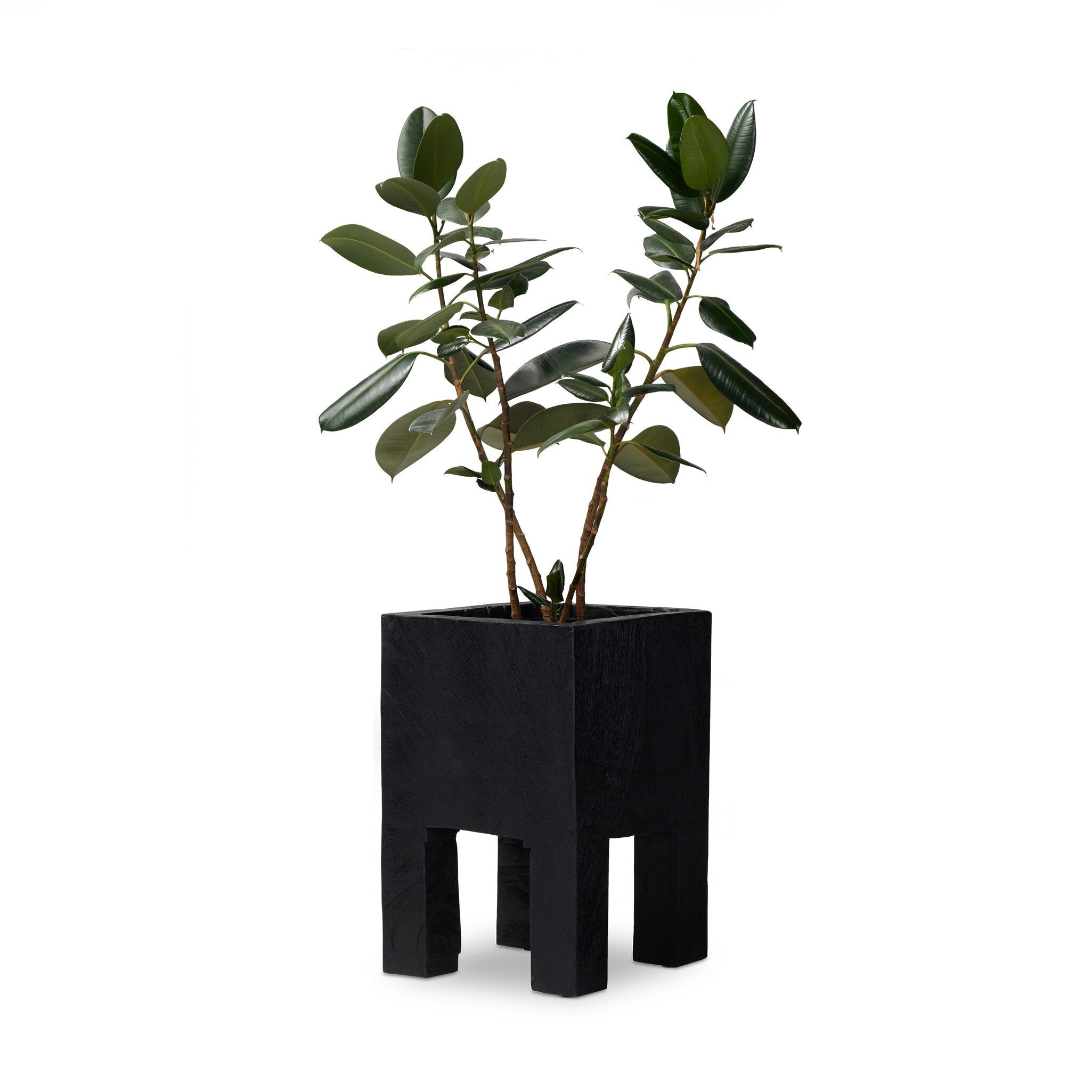 Tora Planter - Carbonized Black Planters Four Hands , Black Friday Sale Four Hands Furniture Sale, Old Bones Co, Mid Century Furniture Sale, Four Hands Furniture, Black Friday Sale Tora Planter - Carbonized Black,Gus Sale, Perigold Tora Planter - Carbonized Black Planters Black Friday Sale , Perigold Sale Tora Planter - Carbonized Black,Tora Planter - Carbonized Black Lulu and Georgia, Burke Decor Sale Tora Planter - Carbonized Black, www.oldbonesco.com