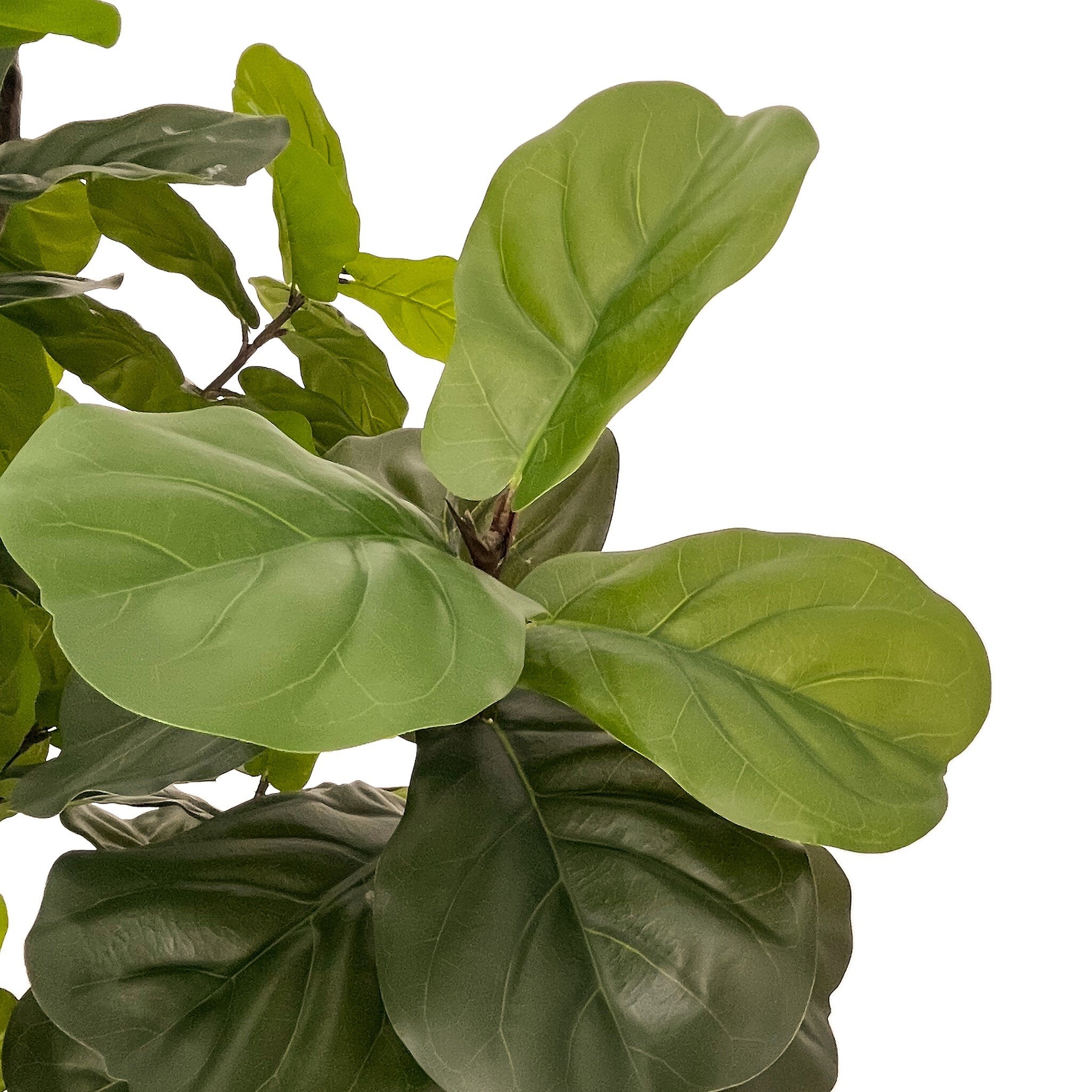 Faux Fiddle Leaf Tree
