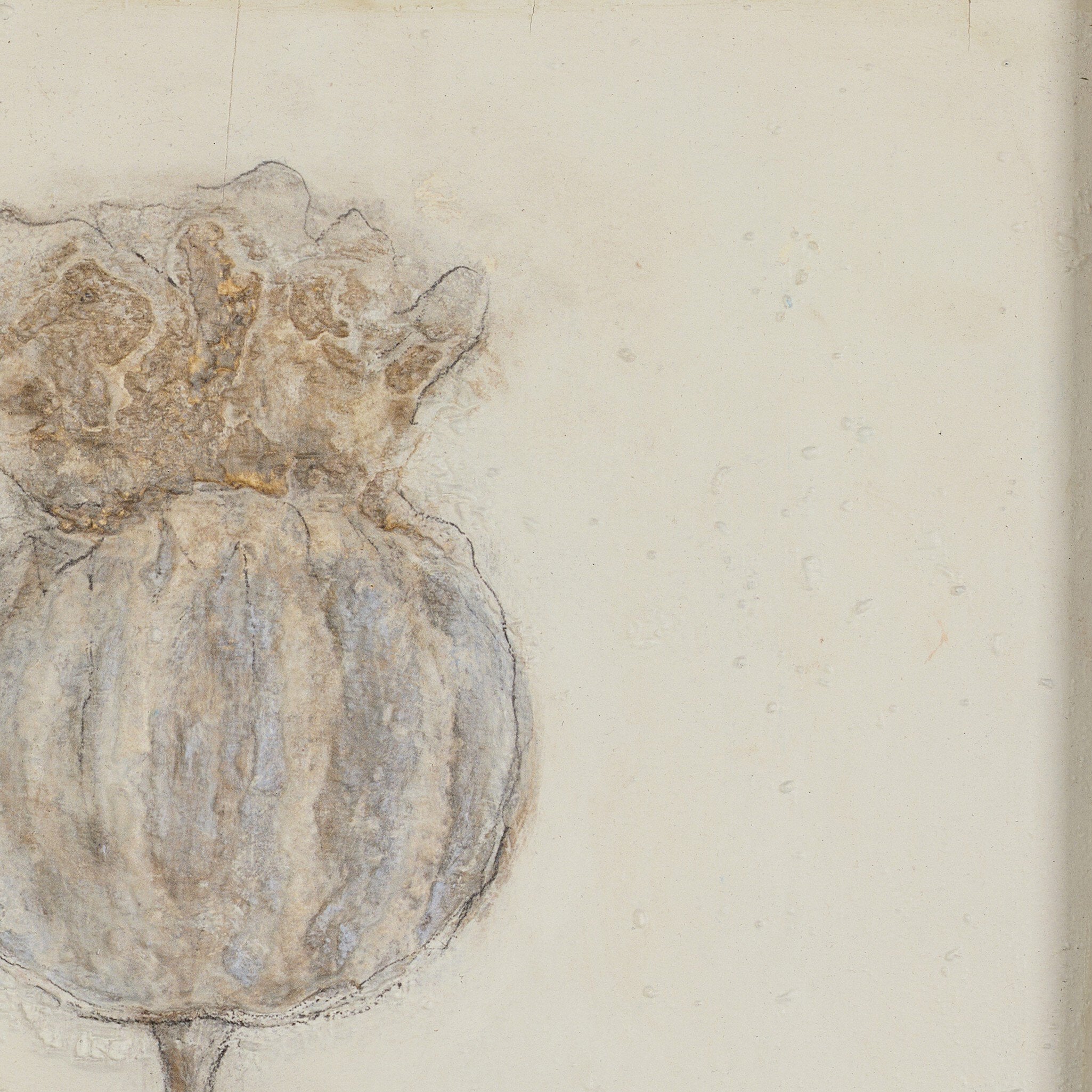 Poppy Crema by Paul Meyer Art Studio Four Hands , Black Friday Sale Four Hands Furniture Sale, Old Bones Co, Mid Century Furniture Sale, Four Hands Furniture, Black Friday Sale Poppy Crema by Paul Meyer,Gus Sale, Perigold Poppy Crema by Paul Meyer Art Studio Black Friday Sale , Perigold Sale Poppy Crema by Paul Meyer,Poppy Crema by Paul Meyer Lulu and Georgia, Burke Decor Sale Poppy Crema by Paul Meyer, www.oldbonesco.com