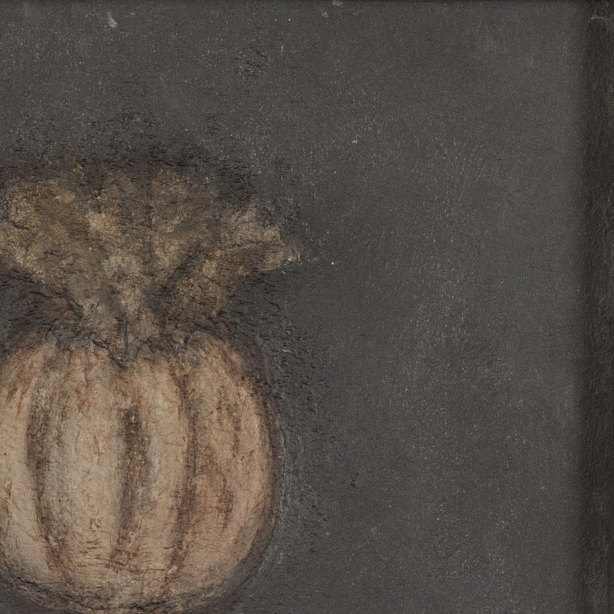 Poppy Noche by Paul Meyer Art Studio Four Hands , Black Friday Sale Four Hands Furniture Sale, Old Bones Co, Mid Century Furniture Sale, Four Hands Furniture, Black Friday Sale Poppy Noche by Paul Meyer,Gus Sale, Perigold Poppy Noche by Paul Meyer Art Studio Black Friday Sale , Perigold Sale Poppy Noche by Paul Meyer,Poppy Noche by Paul Meyer Lulu and Georgia, Burke Decor Sale Poppy Noche by Paul Meyer, www.oldbonesco.com