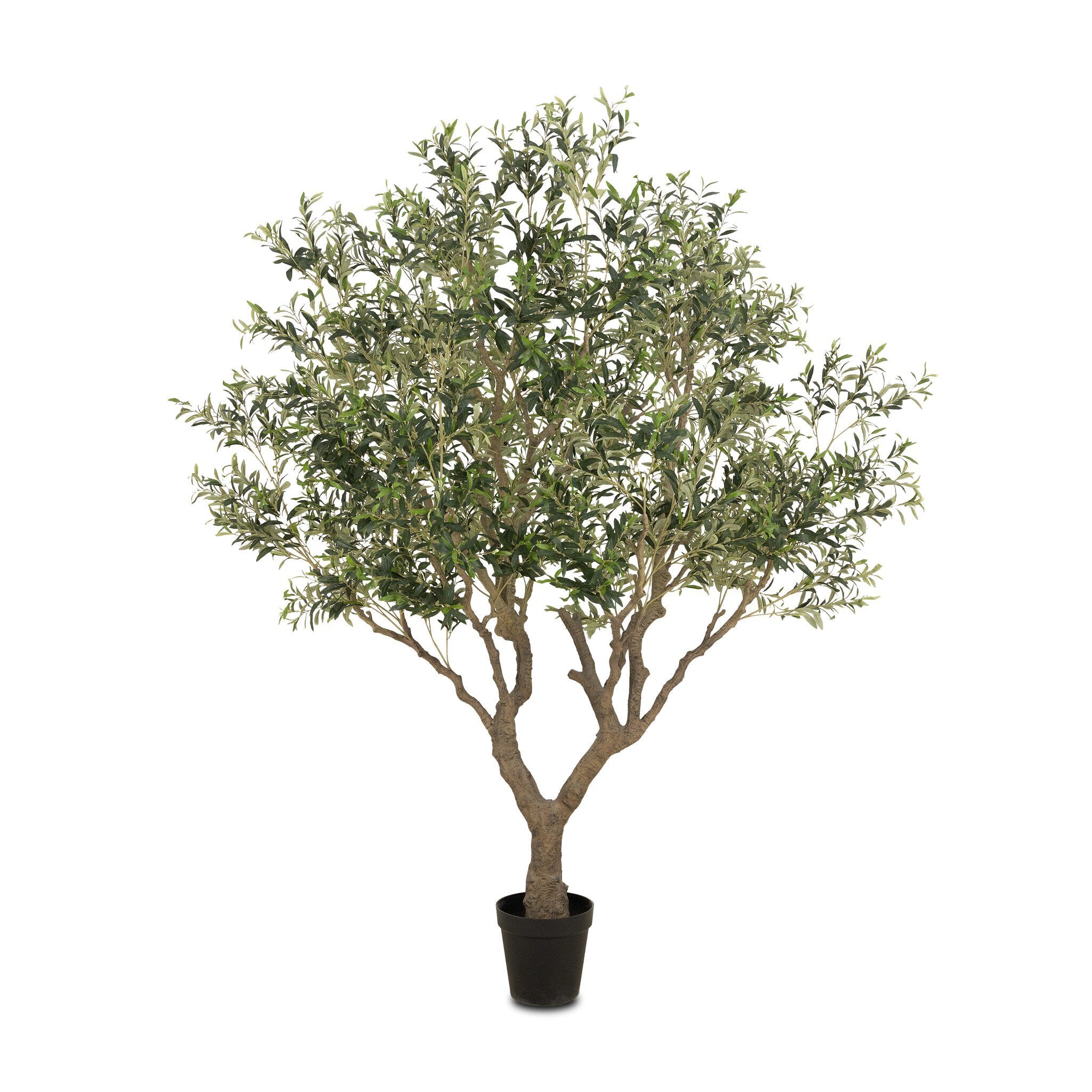 Faux Olive Tree Wide