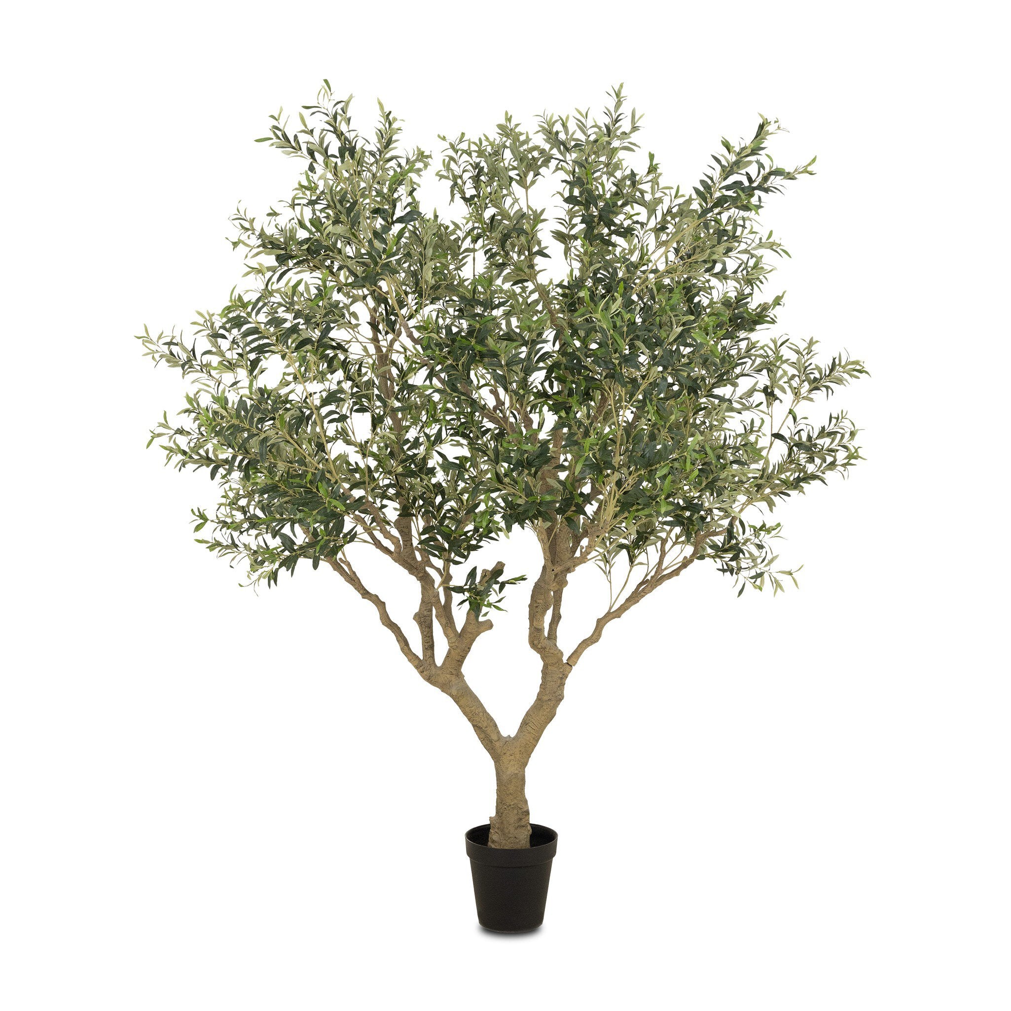 Faux Olive Tree Wide