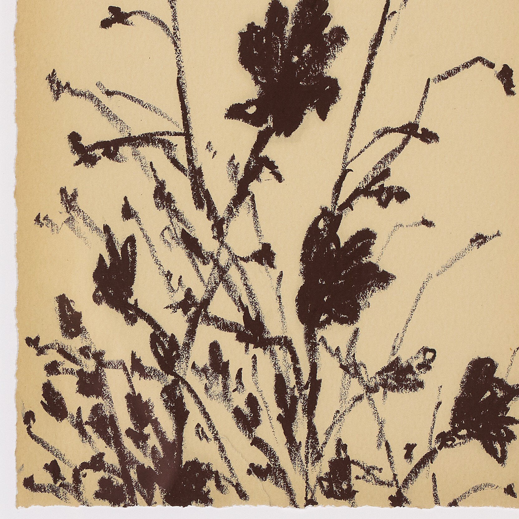 Meadow Rue Set by Shaina Page Art Studio Four Hands , Black Friday Sale Four Hands Furniture Sale, Old Bones Co, Mid Century Furniture Sale, Four Hands Furniture, Black Friday Sale Meadow Rue Set by Shaina Page,Gus Sale, Perigold Meadow Rue Set by Shaina Page Art Studio Black Friday Sale , Perigold Sale Meadow Rue Set by Shaina Page,Meadow Rue Set by Shaina Page Lulu and Georgia, Burke Decor Sale Meadow Rue Set by Shaina Page, www.oldbonesco.com