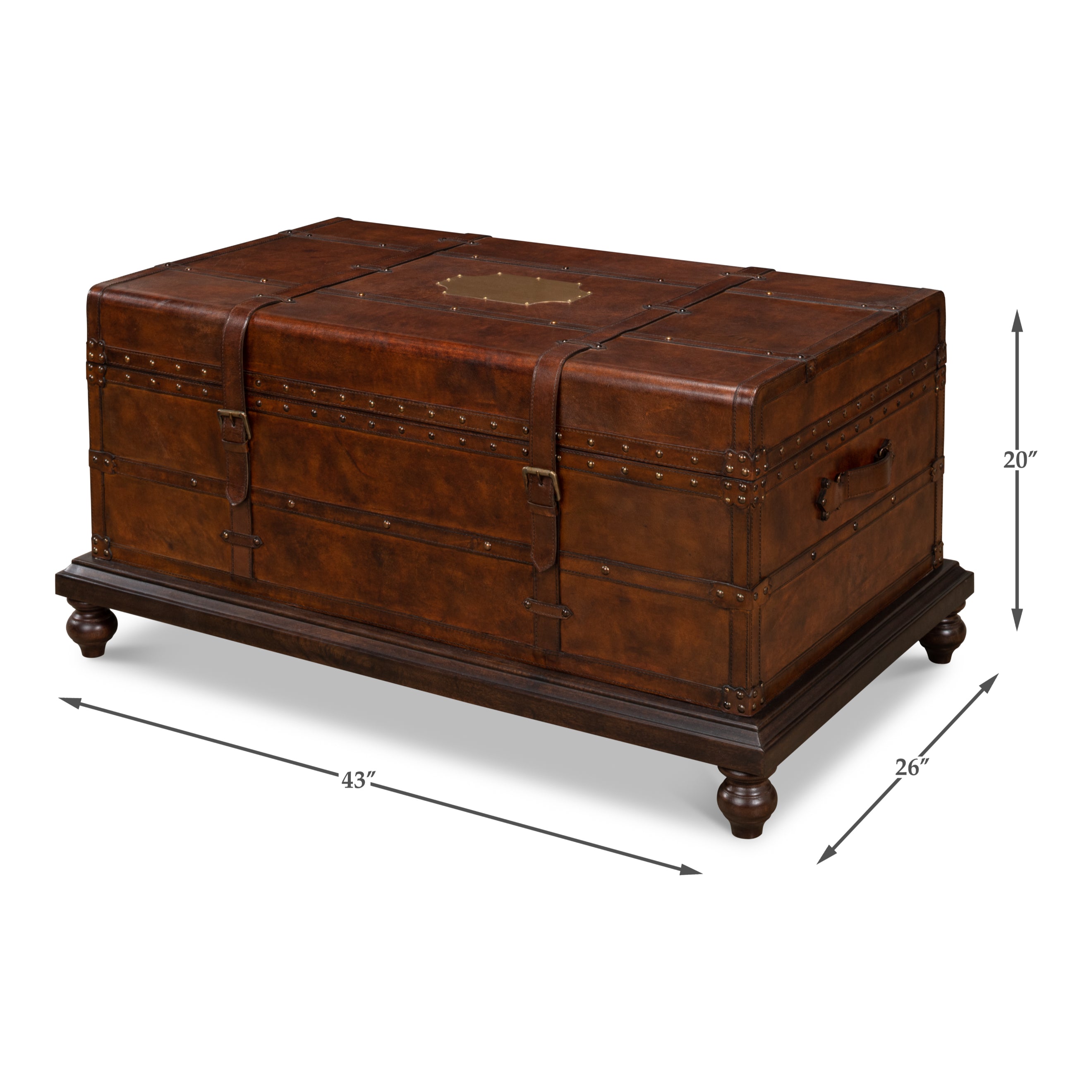 Laramie Trunk Coffee Table
