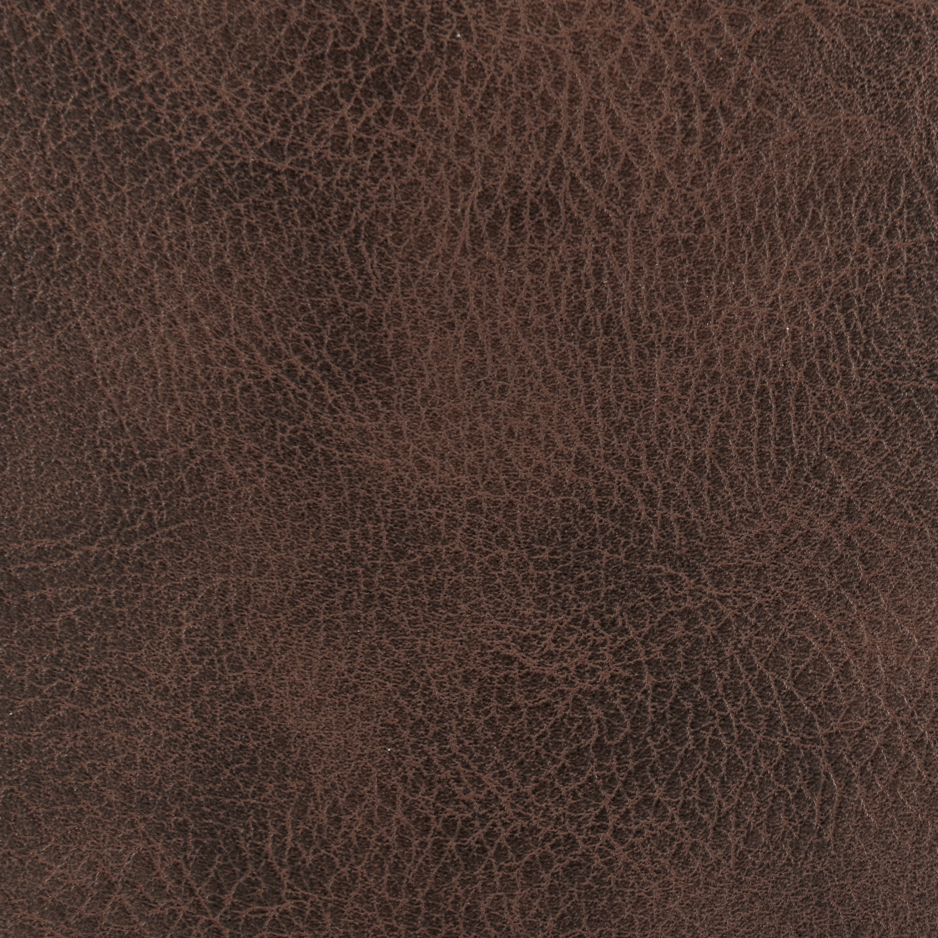 Desi Swivel Bar Stool Bar & Counter Stools Euro Style , Black Friday Sale Euro Style Furniture Sale, Old Bones Co, Mid Century Furniture Sale, Four Hands Furniture, Black Friday Sale Desi Swivel Bar Stool,Gus Sale, Perigold Desi Swivel Bar Stool Bar & Counter Stools Black Friday Sale , Perigold Sale Desi Swivel Bar Stool,Desi Swivel Bar Stool Lulu and Georgia, Burke Decor Sale Desi Swivel Bar Stool, www.oldbonesco.com