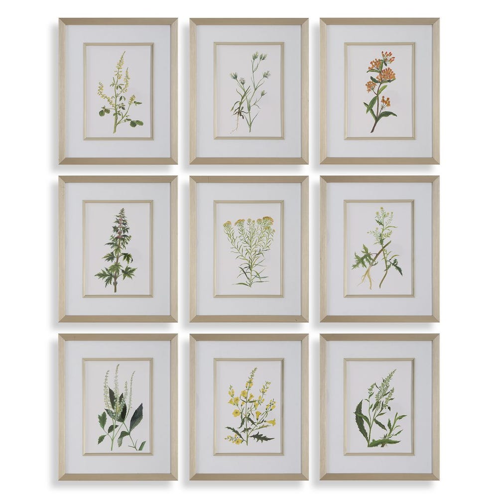 Uttermost Botanical Flowers Framed Prints - Set of 9