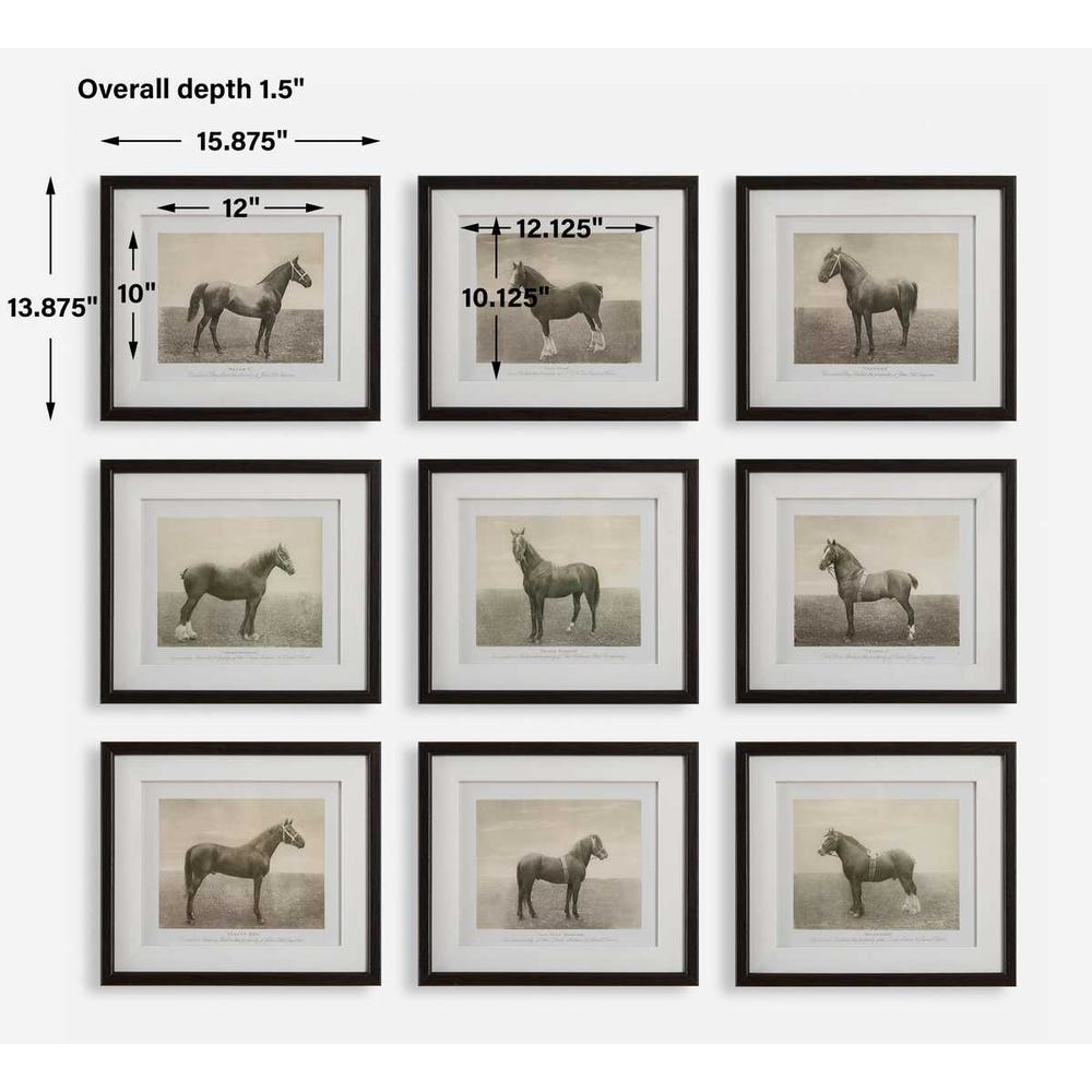 Uttermost Equine Dynasty Framed Prints - Set of 9
