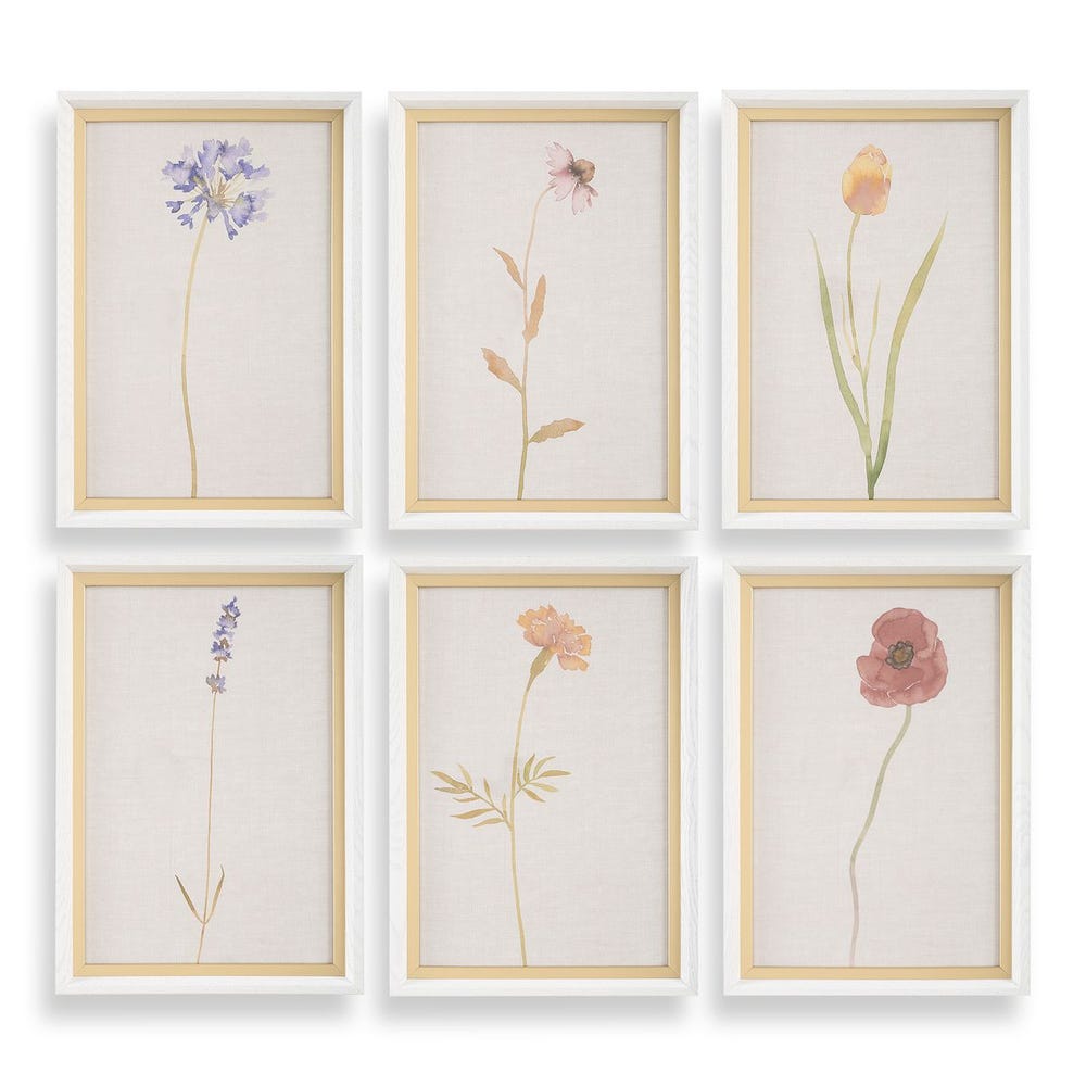 Uttermost Wild Flourish Framed Floral Prints - Set of 6