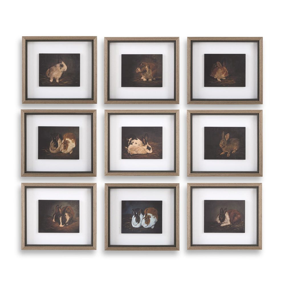 Uttermost Resting Bunny Framed Prints - Set of 9