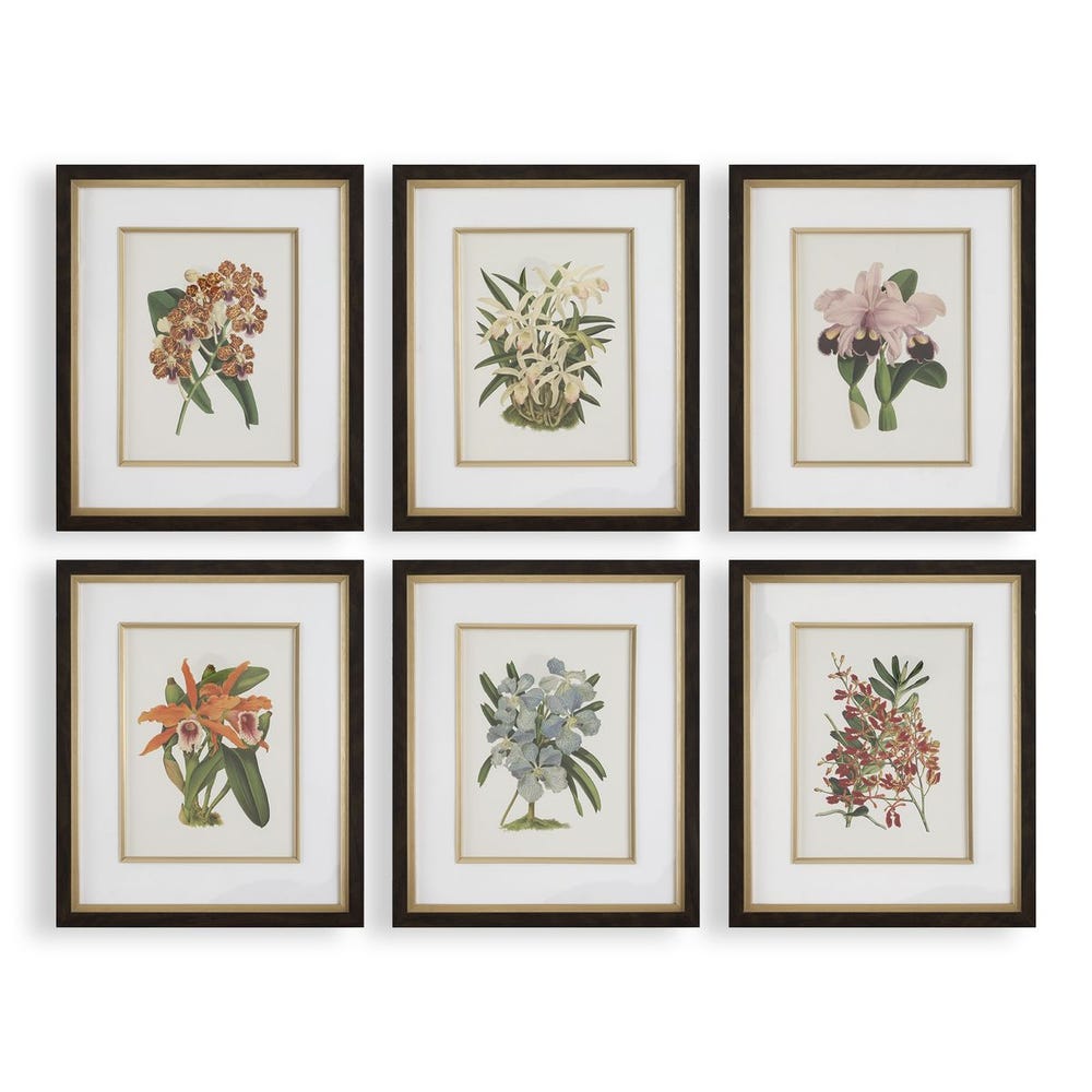Uttermost Orchid Botanical Framed Prints - Set of 6