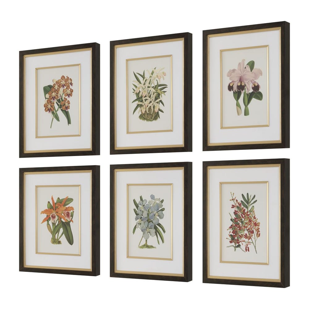 Uttermost Orchid Botanical Framed Prints - Set of 6