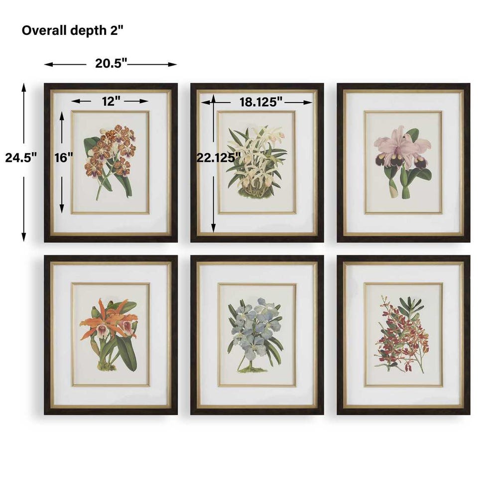 Uttermost Orchid Botanical Framed Prints - Set of 6
