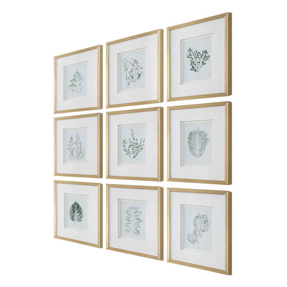 Uttermost Nature's Script Framed Botanical Prints - Set of 9