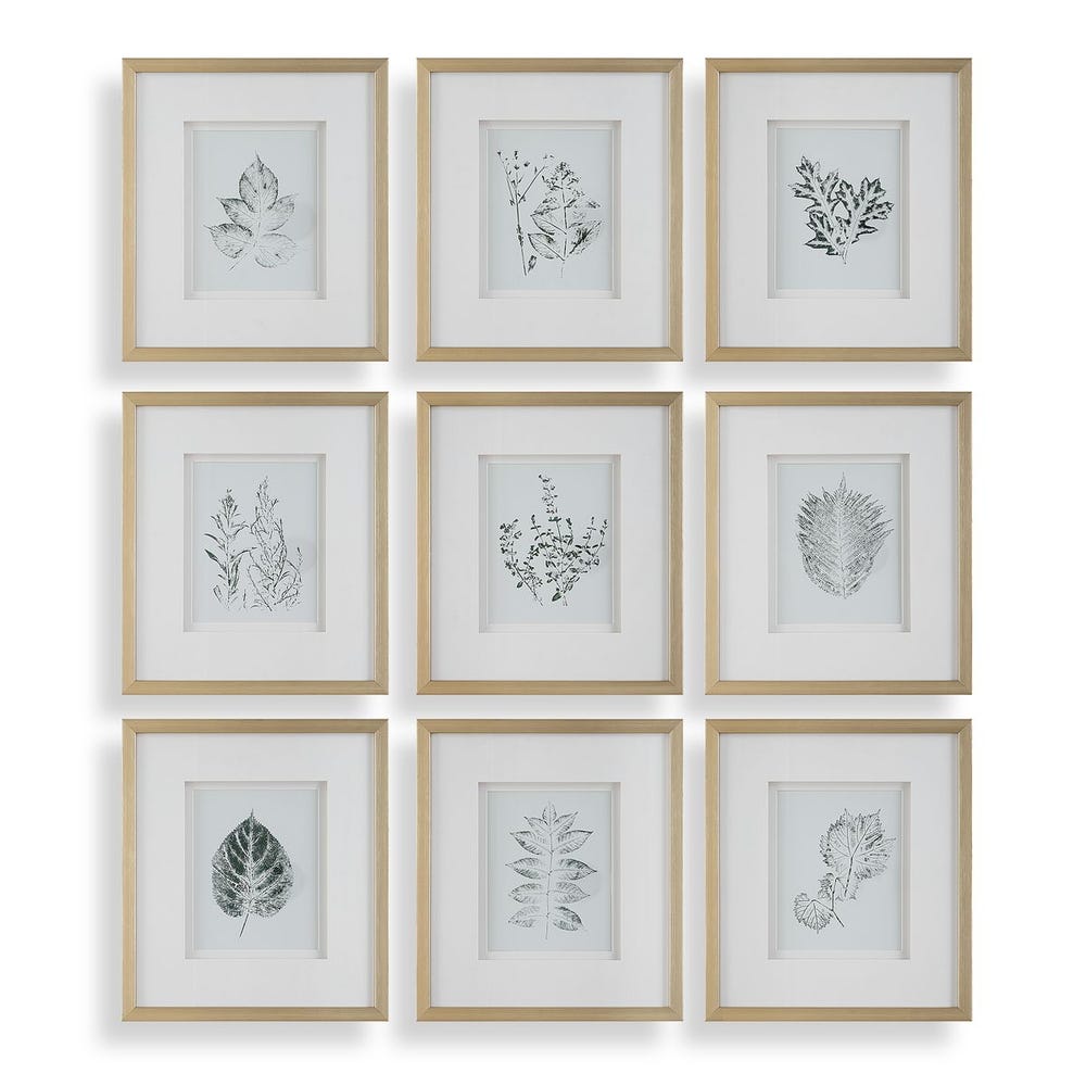 Uttermost Nature's Script Framed Botanical Prints - Set of 9