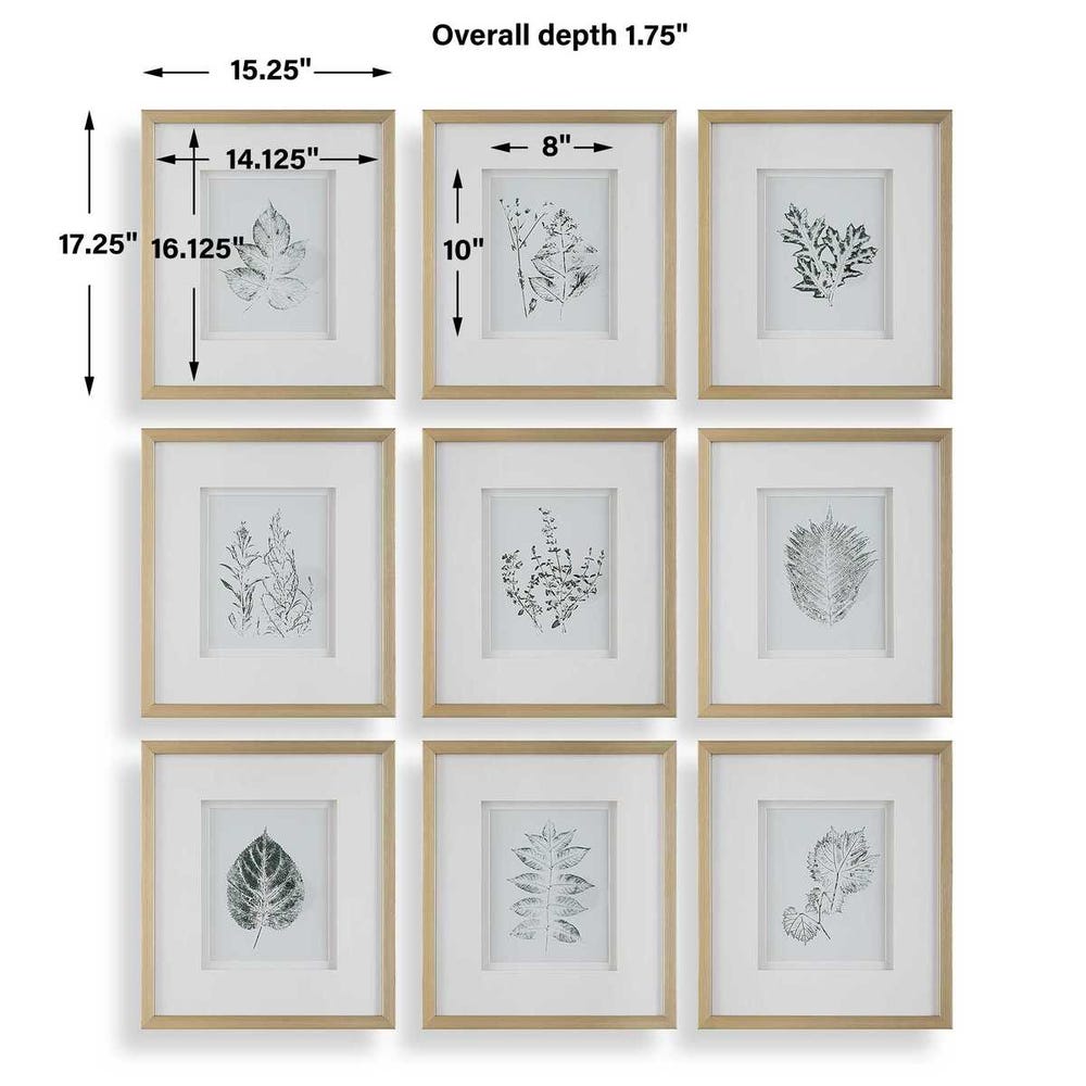 Uttermost Nature's Script Framed Botanical Prints - Set of 9