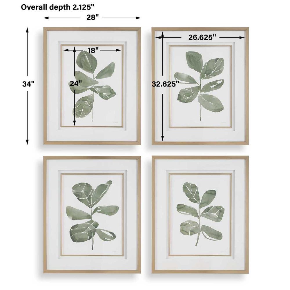 Uttermost Fiddle Head Leaf Botanical Prints - Set of 4