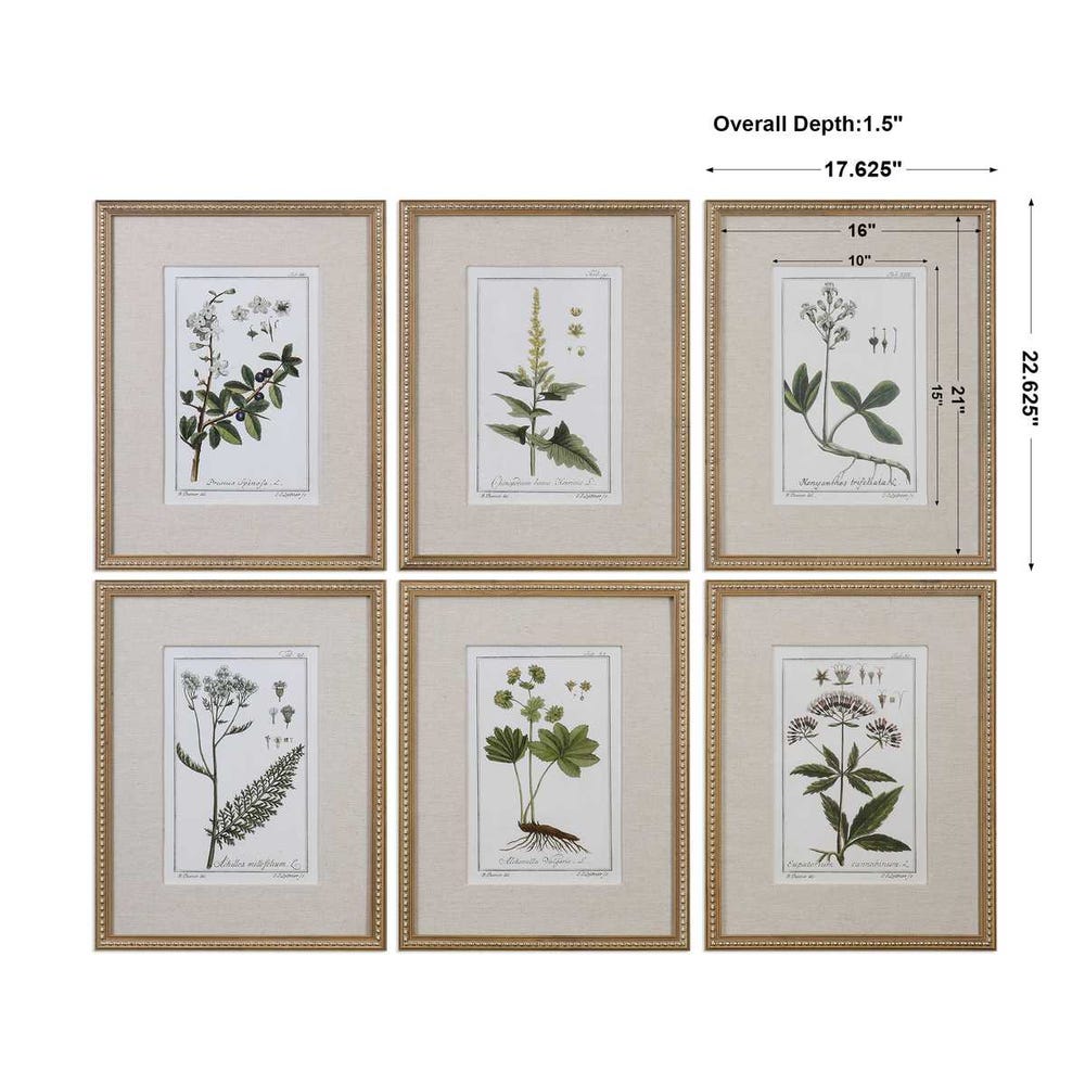 Uttermost Green Floral Botanical Study Prints - Set of 6