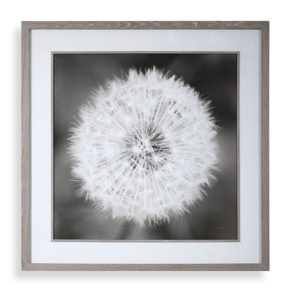 Uttermost Dandelion Seedhead Framed Print