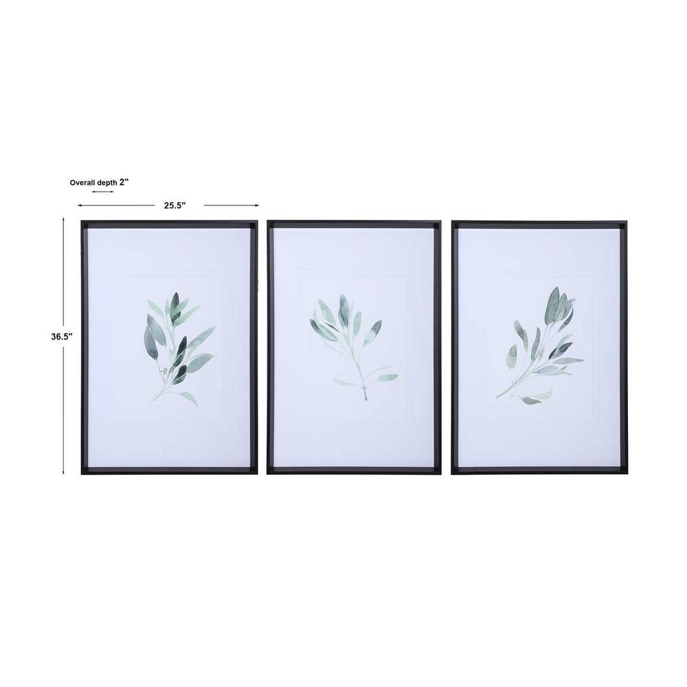 Uttermost Simple Sage Watercolor Prints - Set of 3