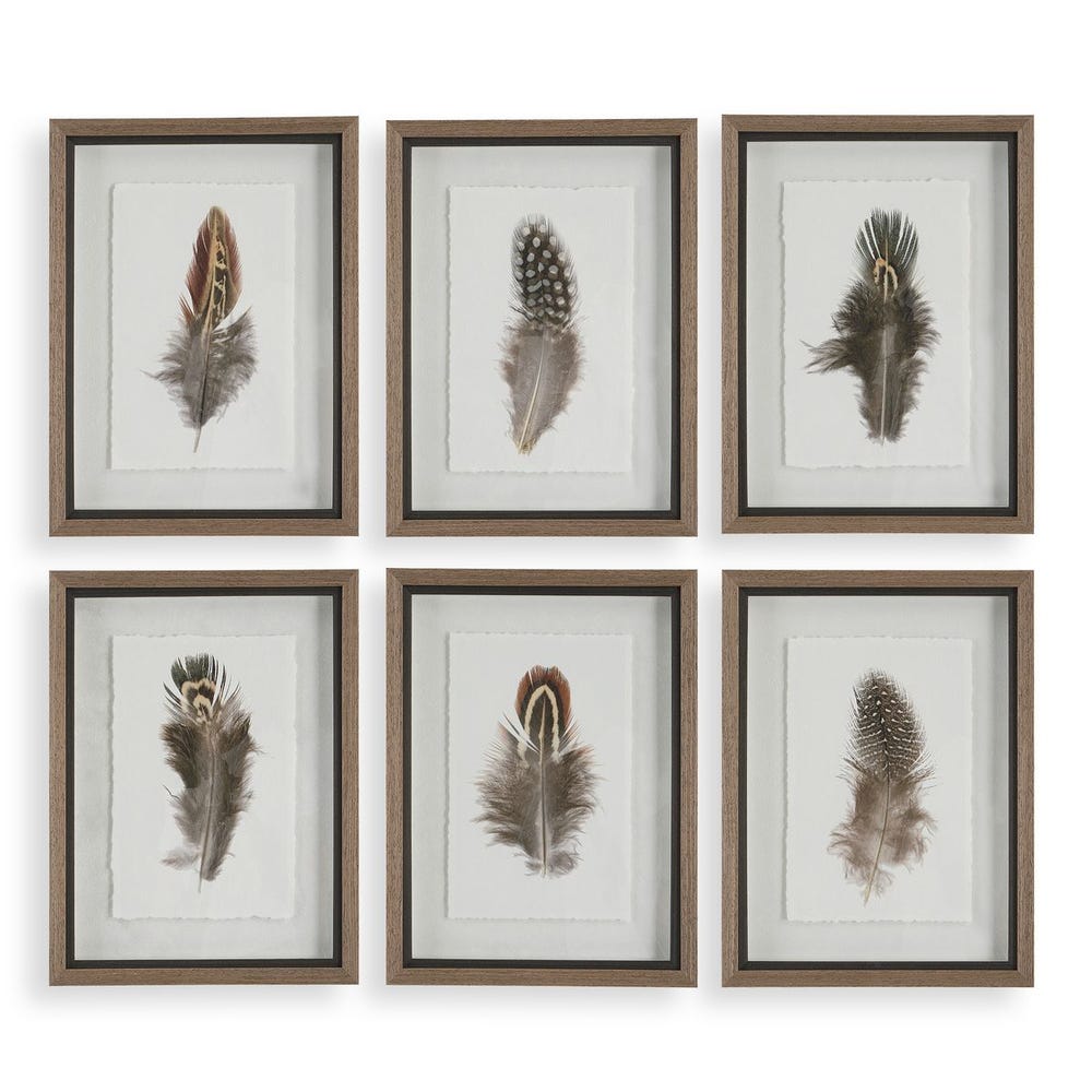 Uttermost Birds Of A Feather Framed Prints - Set of 6